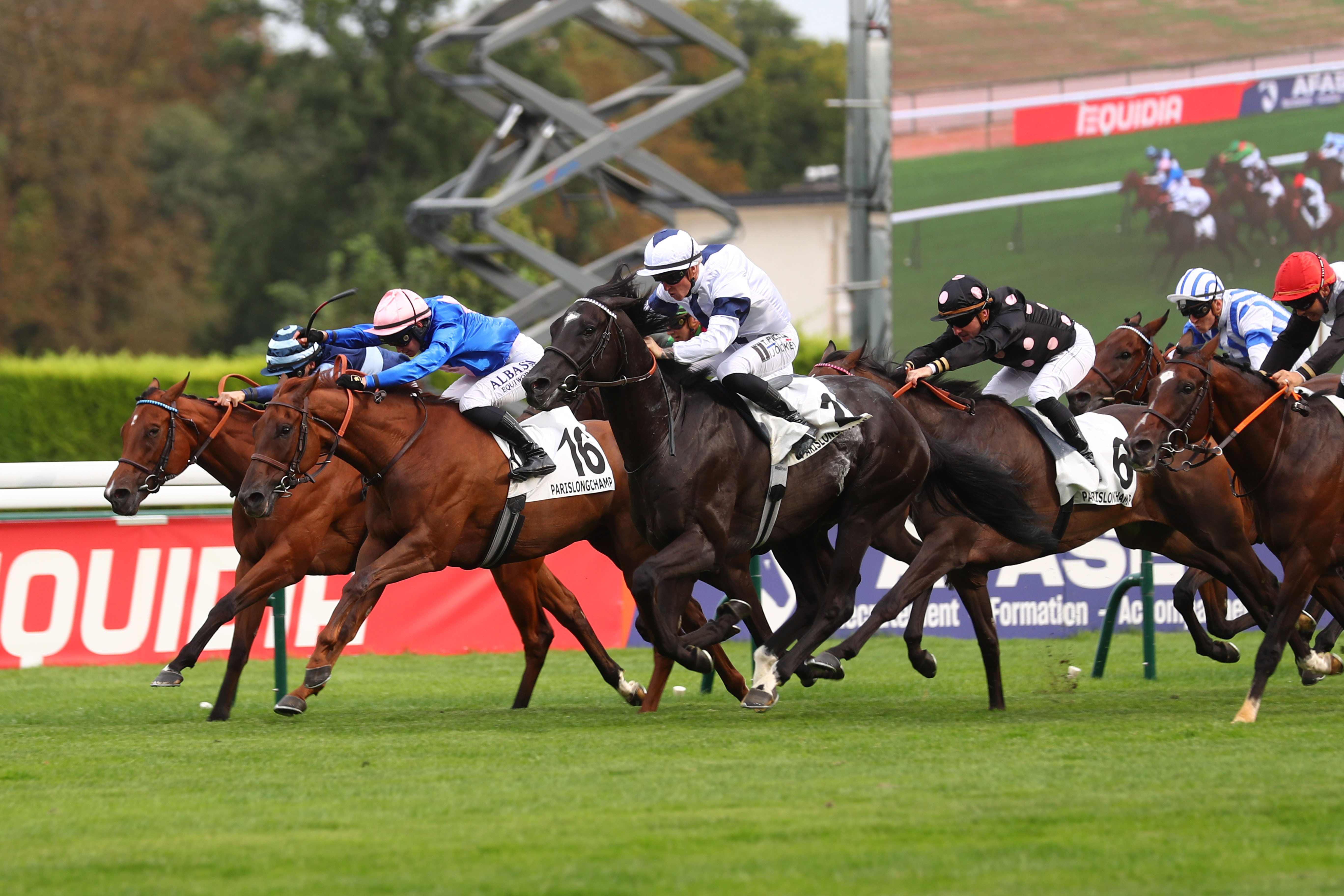 ParisLongchamp (XVIe), le 29 Août 2024. Marharry (n° 16) surgit au centre pour subtiliser le succès à Kiaro (n° 2) et s'offrir le premier succès de sa carrière. SCOOPDYGA - CHOURAQUI Elliott