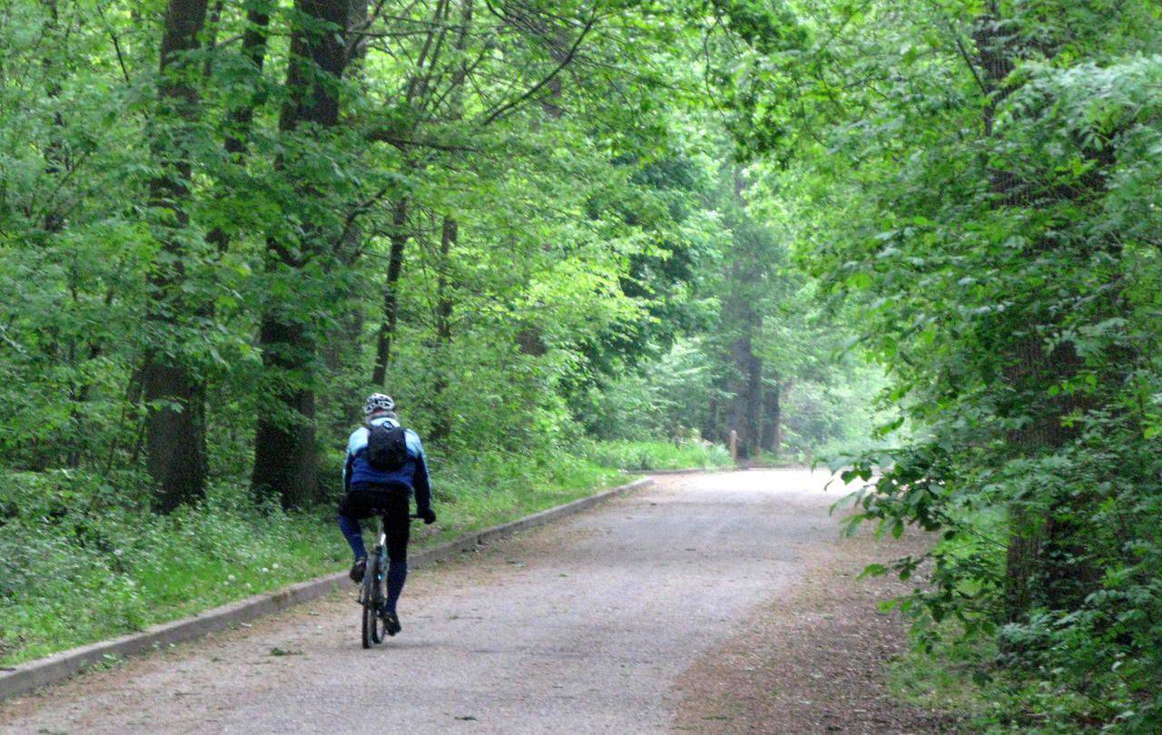 La forêt de Meudon est un atout indéniable dans notre classement des villes où il fait bon vivre à la retraite dans les Hauts-de-Seine. LP/J.B.