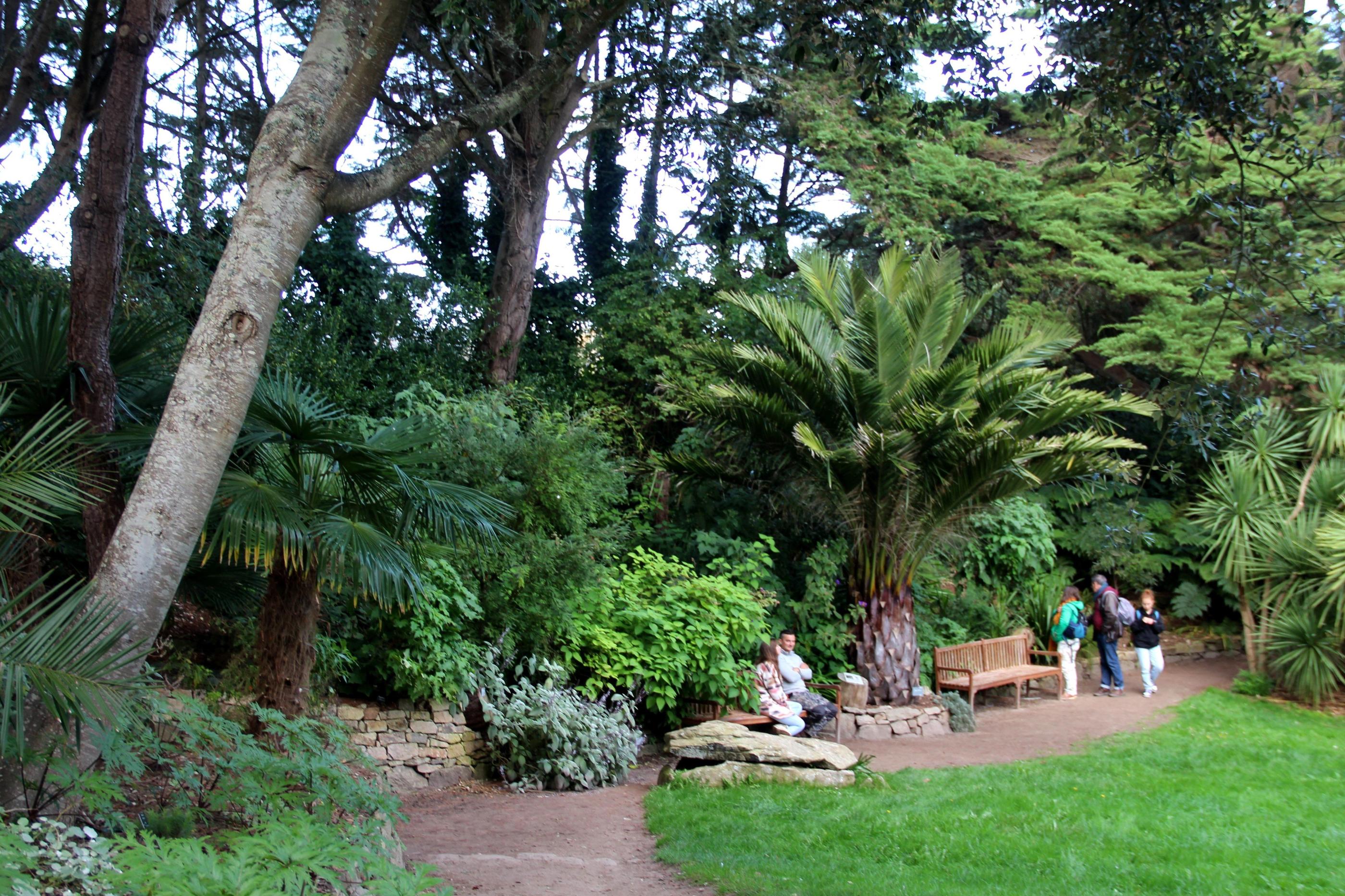 Le jardin Georges Delaselle, fondé en 1897, abrite des espèces végétales qu'on ne trouve nulle part ailleurs en France. LP/Nora Moreau