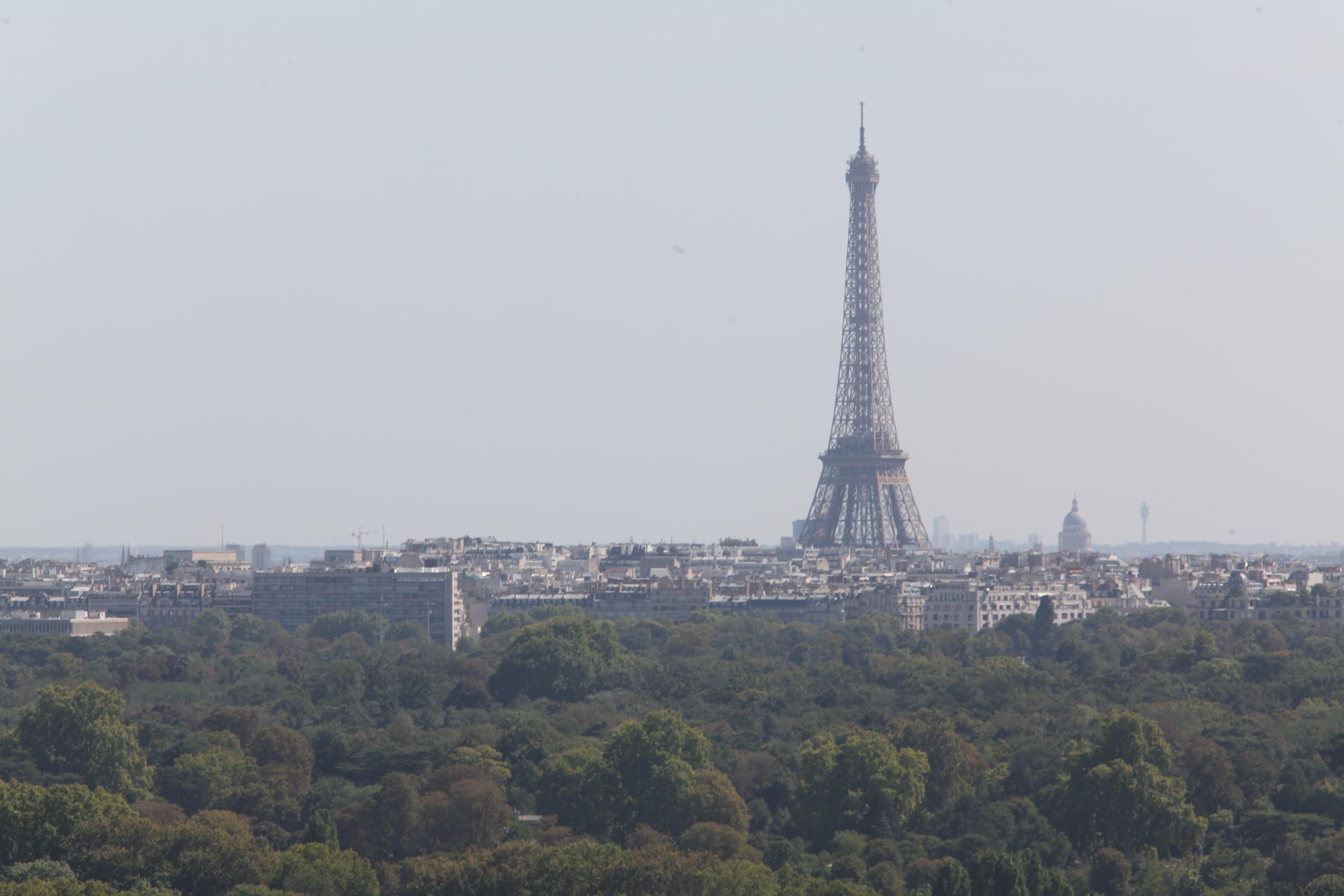 La maire de Paris a fixé comme objectif de son second mandat de planter 170 000 nouveau arbres dans la capitale. Un plan va être soumis au Conseil de Paris. LP/Olivier Boitet