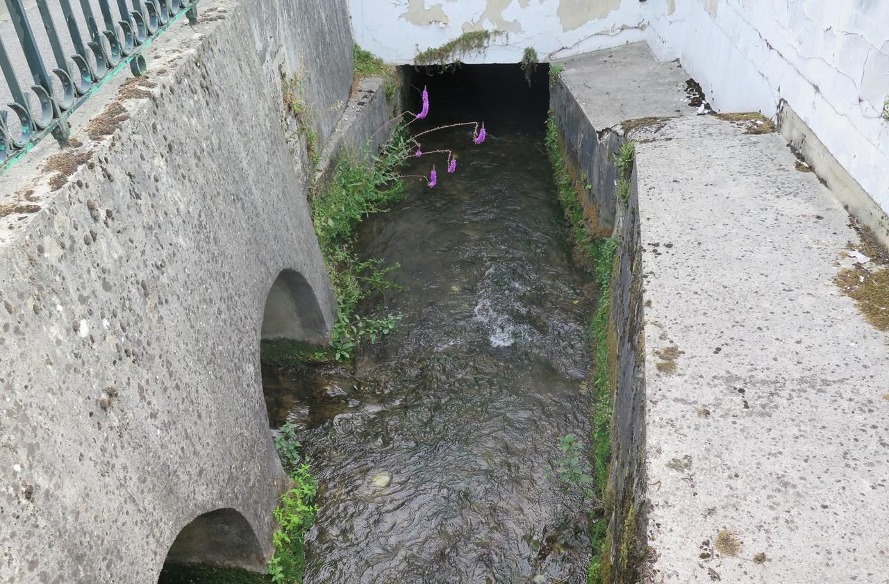 <b></b> Pratiquement invisible, le petit cours d’eau s’engouffre depuis des années dans un lit artificiel pour passer au cœur de l’ancienne usine Yoplait.