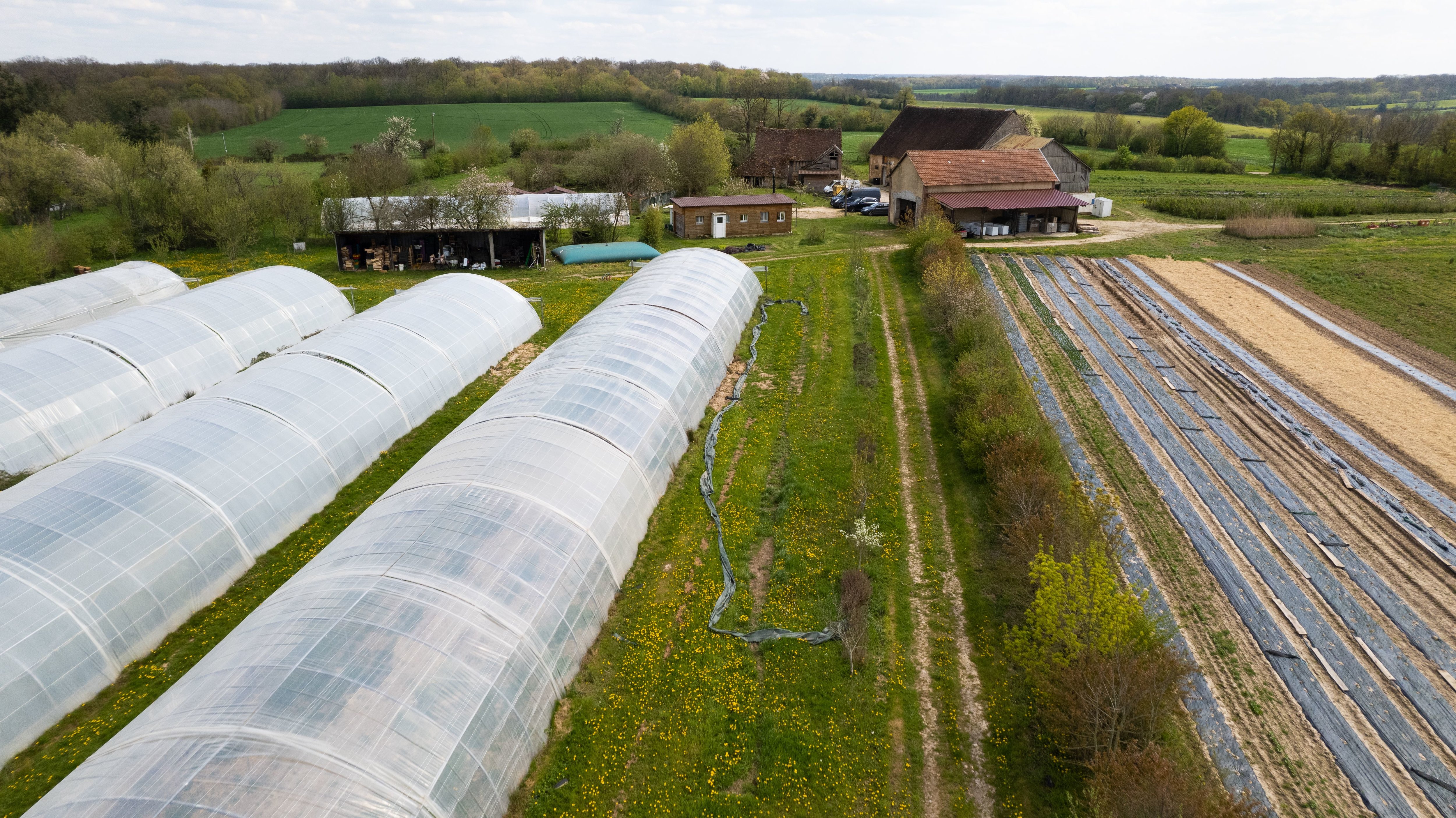 C'est à Tannerre-en-Puisaye (Yonne) que se trouve l'exploitation de 12 hectares acquise par la commune val-de-marnaise. Elle fournit jusqu'à 500 repas par jour. Ville de Villejuif