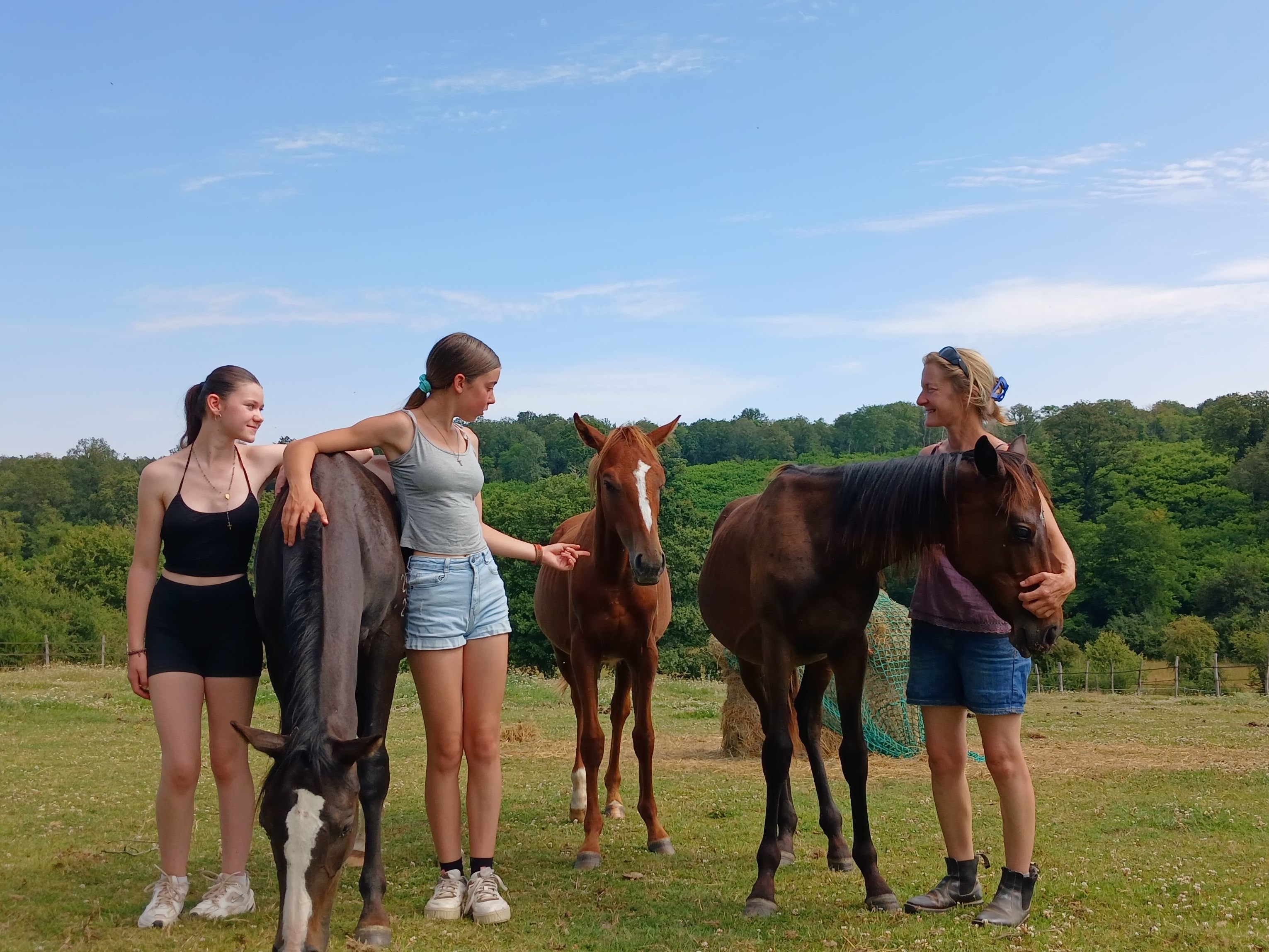 Ces trois poulains d'à peine un an ont été sauvés de l'abattoir par les bénévoles de l'association eurélienne Les Échappées. LP/Jade Bihan