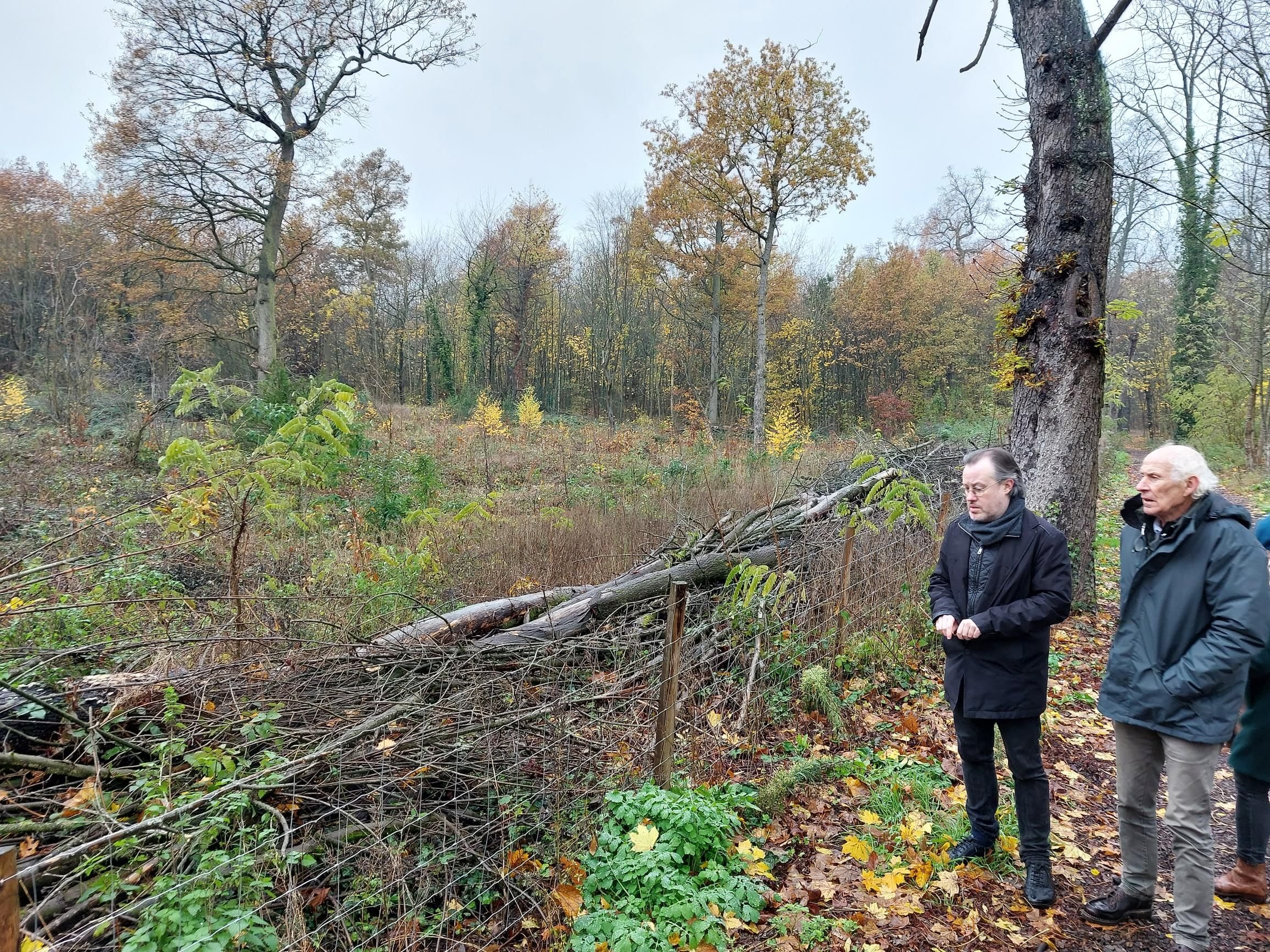 Bois de Vincennes (XIIe), le 5 décembre. Pour certaines élues de la capitale et du Val-de-Marne, qui s'appuient sur l'avis de spécialistes et d'associatifs vigilants, ces tailles d'arbres sont le signe d'une «hyperinflation interventionniste» de la part de la mairie de Paris. LP/Gérald Moruzzi