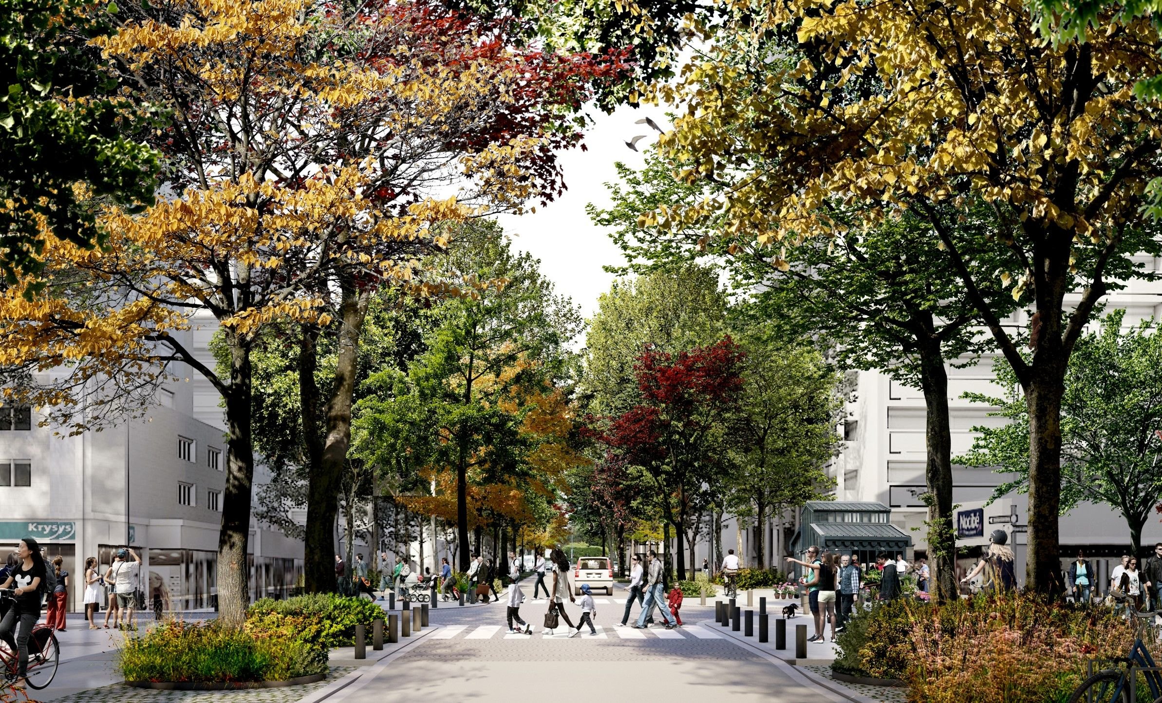 Le projet de requalification de l'avenue Gabriel-Péri à Argenteuil (ici un visuel) prévoit d'ajouter une rangée d'arbres de chaque côté de la chaussée, en plus de celles qui existe déjà. Agence Michel Desvigne