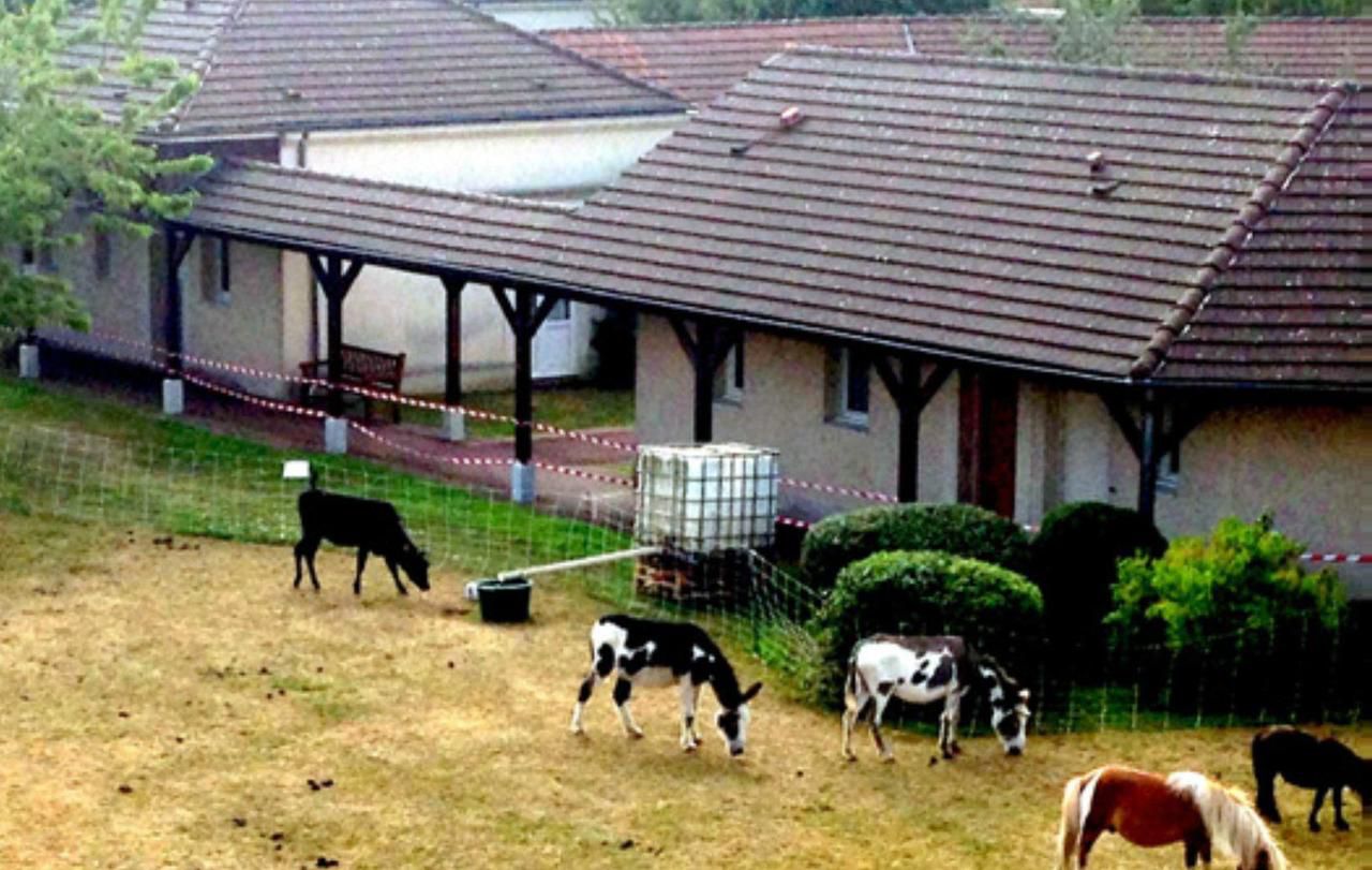 Saint-Rémy-lès-Chevreuse : visitez la ferme de la maison de retraite