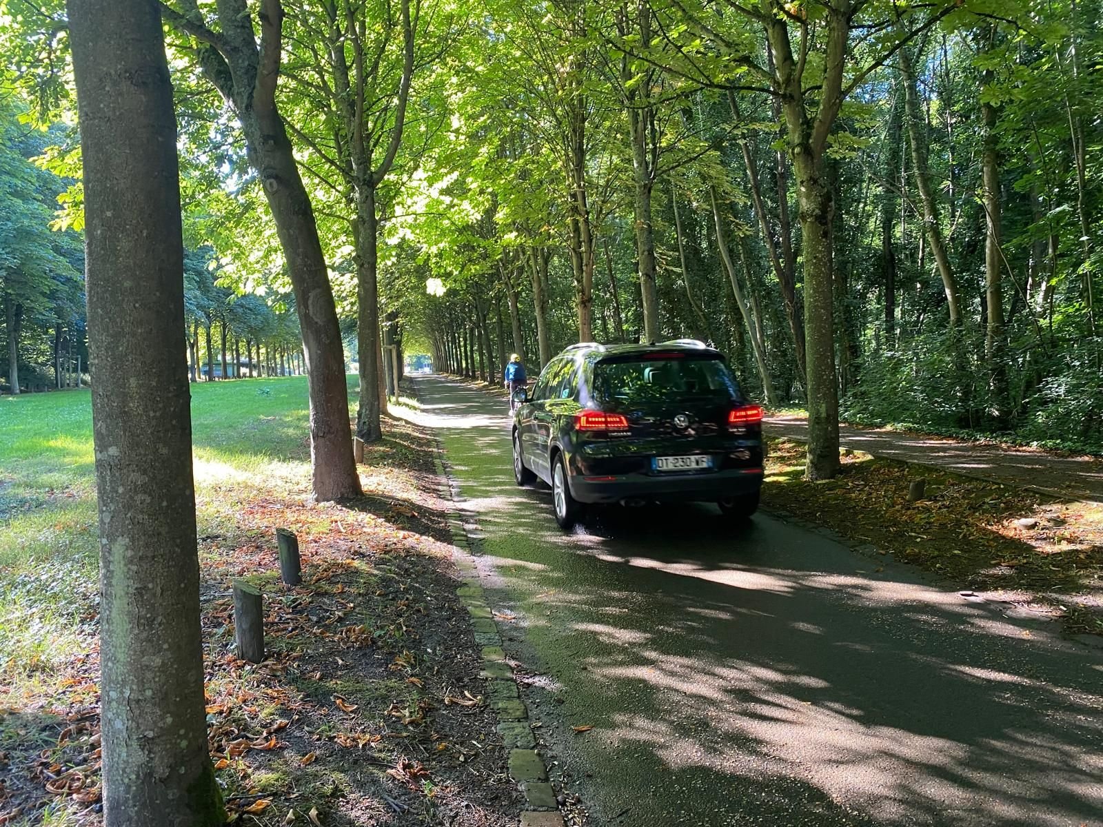 Domaine de Saint-Cloud (Hauts-de-Seine), mardi 10 juillet. Si cette situation ravit certains promeneurs, les automobilistes sont agacés. LP/Mathilde Debarre