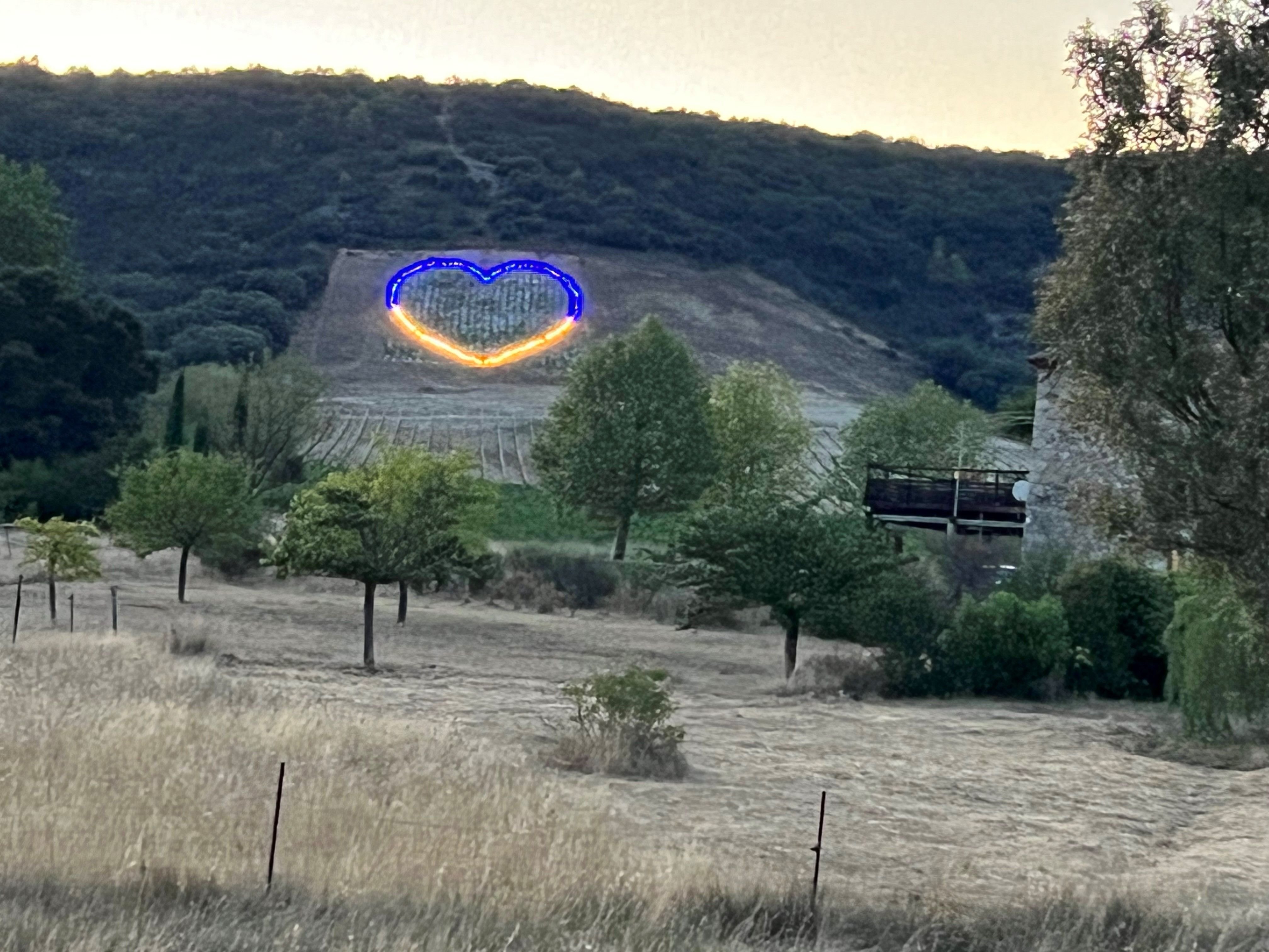 Montoulieu (Hérault). François Massol, propriétaire du domaine de Sauzet, a implanté une parcelle de vigne en forme de cœur, éclairé par des leds jaunes et bleues, en hommage au peuple ukrainien. LP/Christian Goutorbe