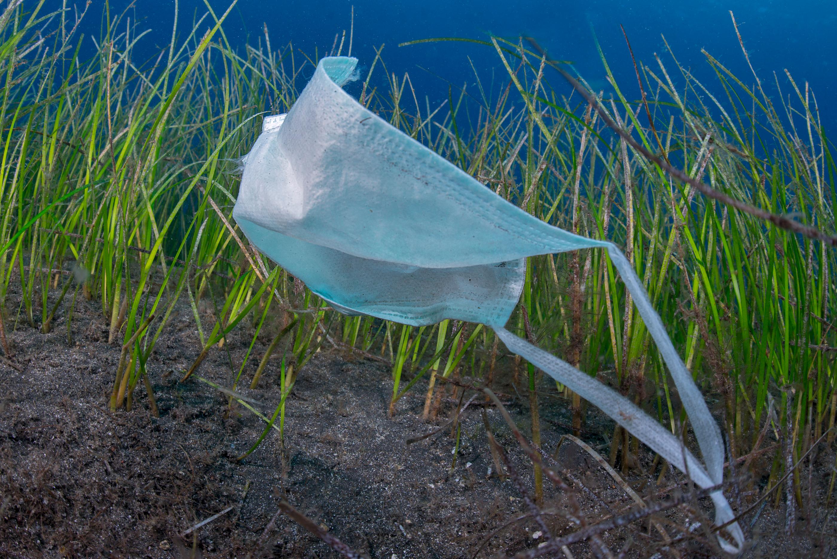 La chasse aux plastiques jetables