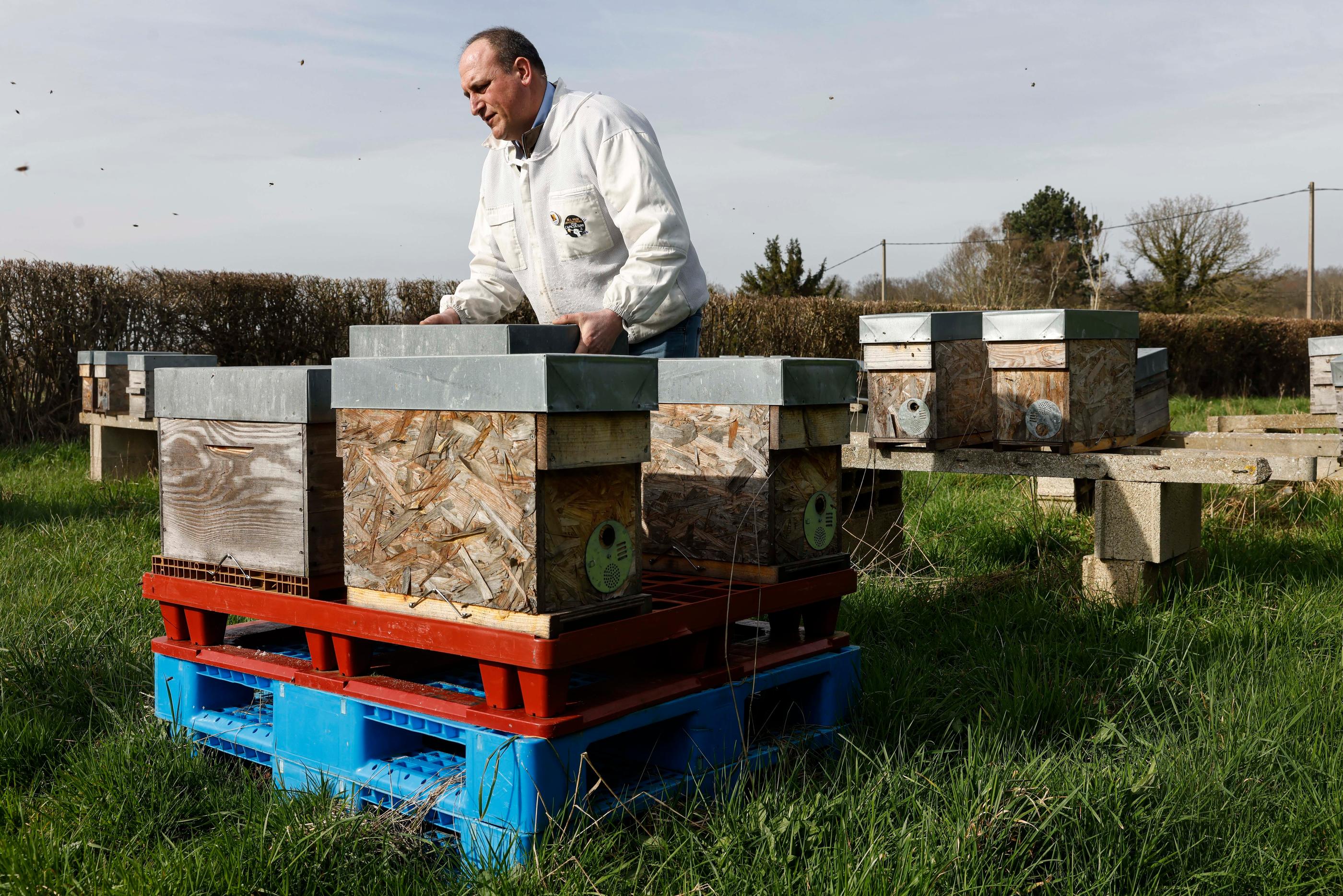 Chamblac (Eure), le 8 mars 2024. Florent Maugeais, apiculteur, a vu le prix de son miel baisser et ses charges augmenter. LP / Olivier Corsan