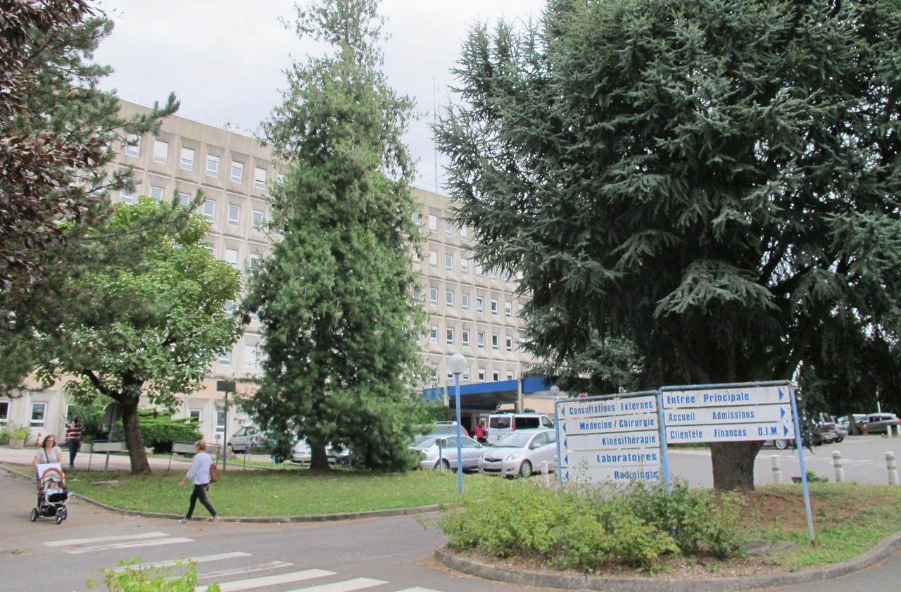 Provins. Le centre hospitalier Léon-Binet  prévoit un projet immobilier d'ampleur dont le montant global est estimé à 43,8 millions d’euros. LP/M.L.
