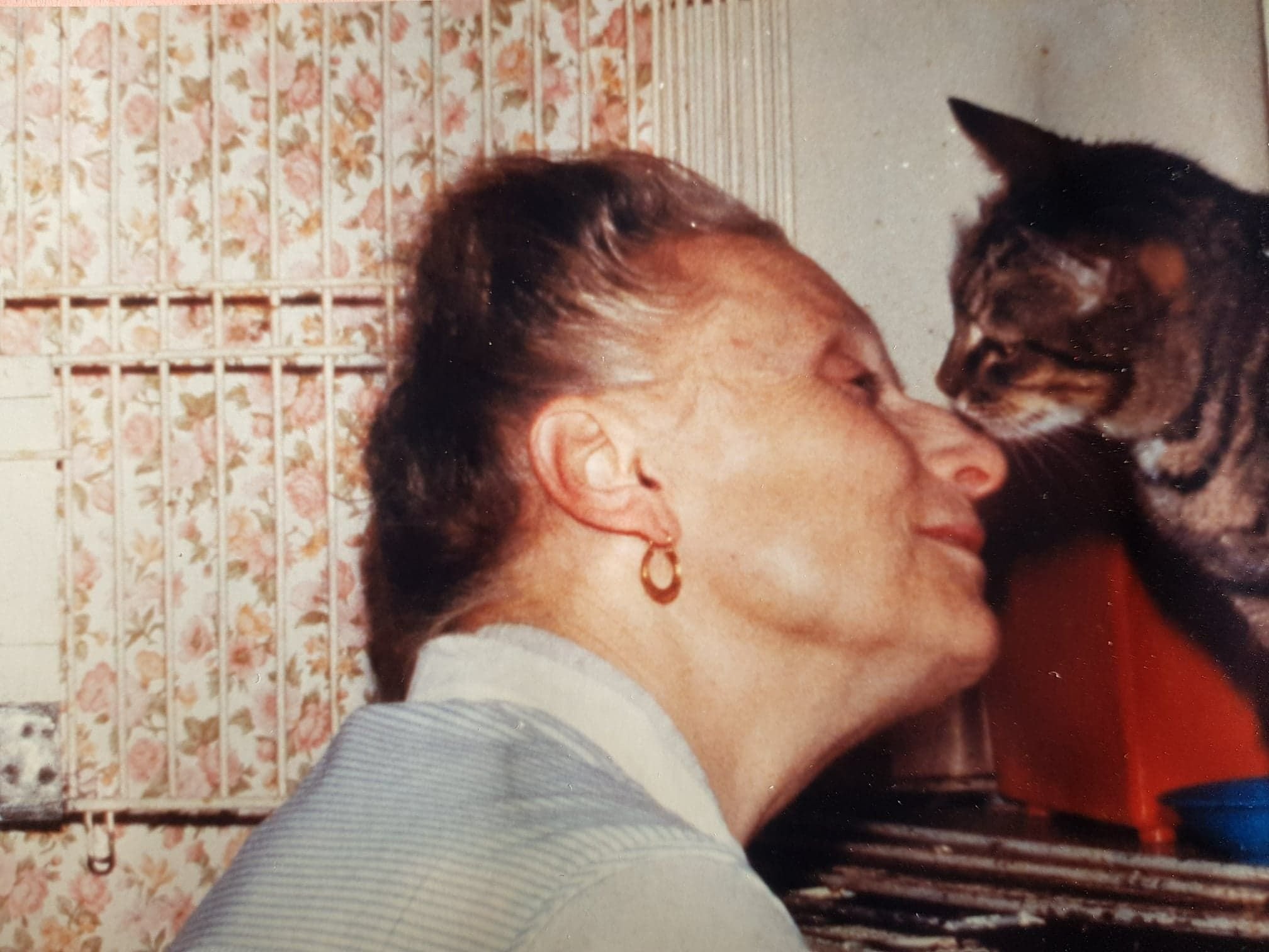 Madeleine Bouchaud a créé le Regroupement des chats perdus de Yerres le 9 avril 1962 (Archives). DR