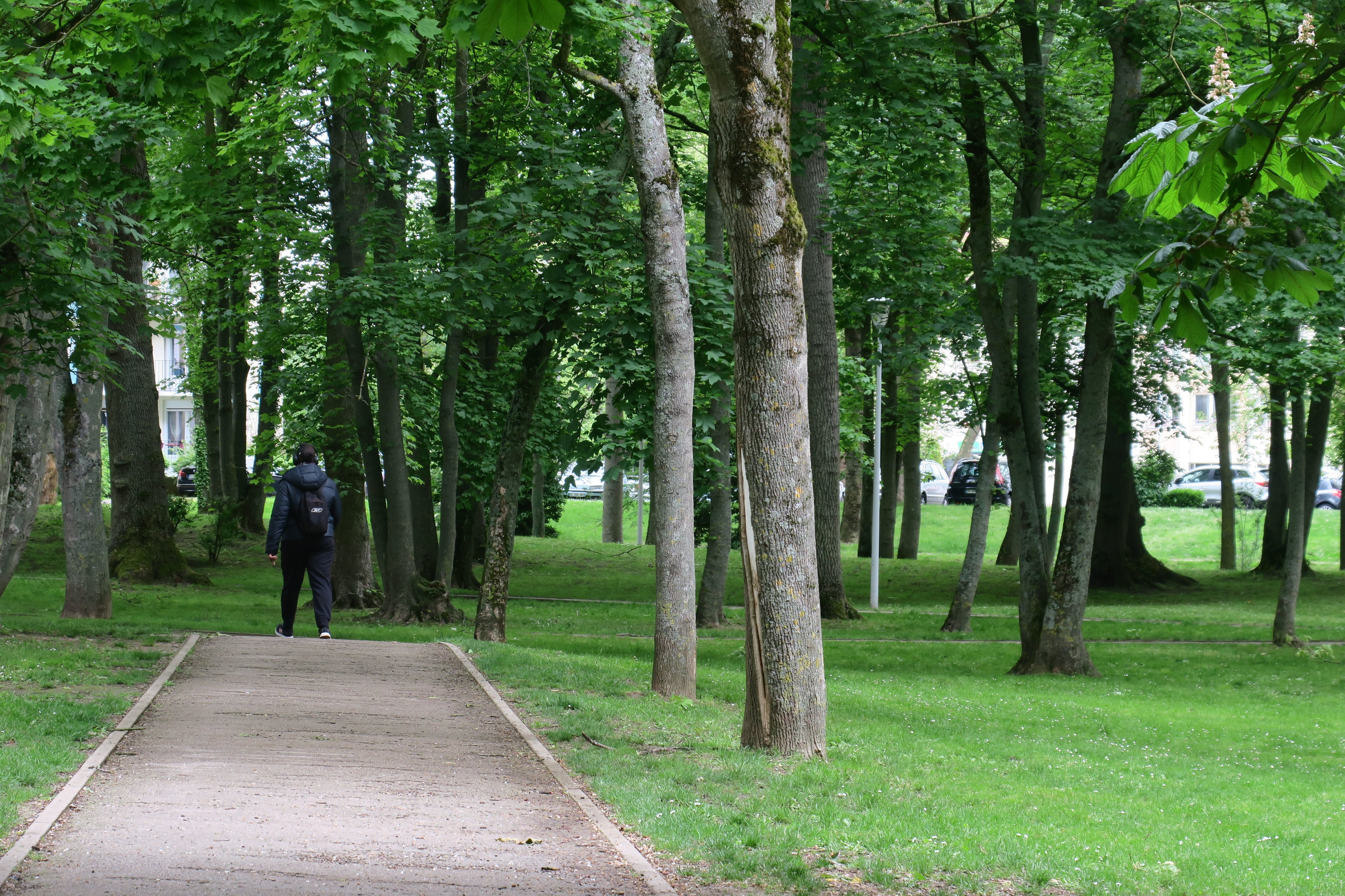 Le parc Hébert de Nogent-sur-Oise faisait partie des secteurs particulièrement redoutés des jeunes femmes au début des années 1970. LP/B.D.