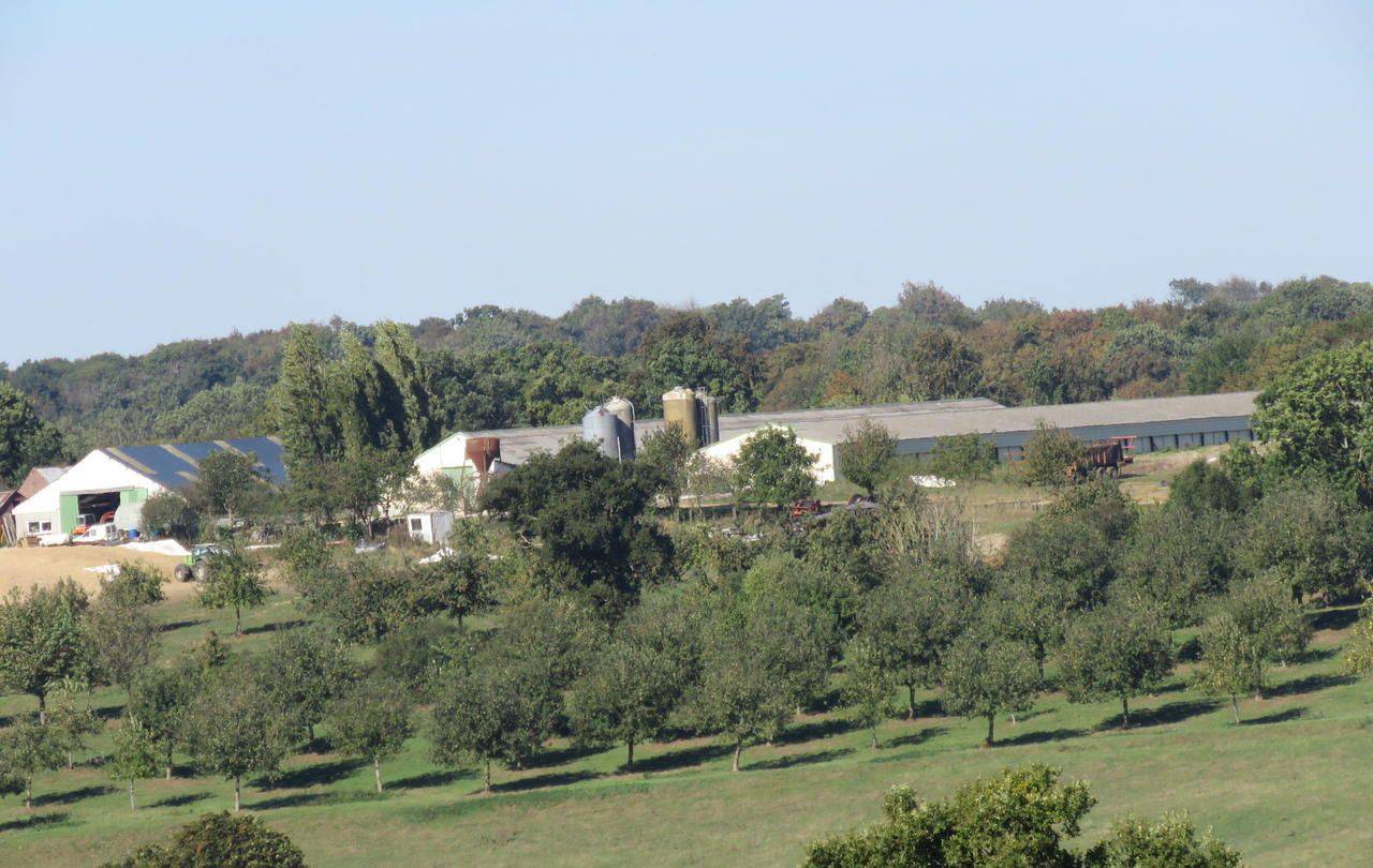 <b></b> Songeons. Située en hauteur, la ferme de Limermont produit déjà 58 620 volailles. Elle aimerait tripler sa capacité d’élevage.