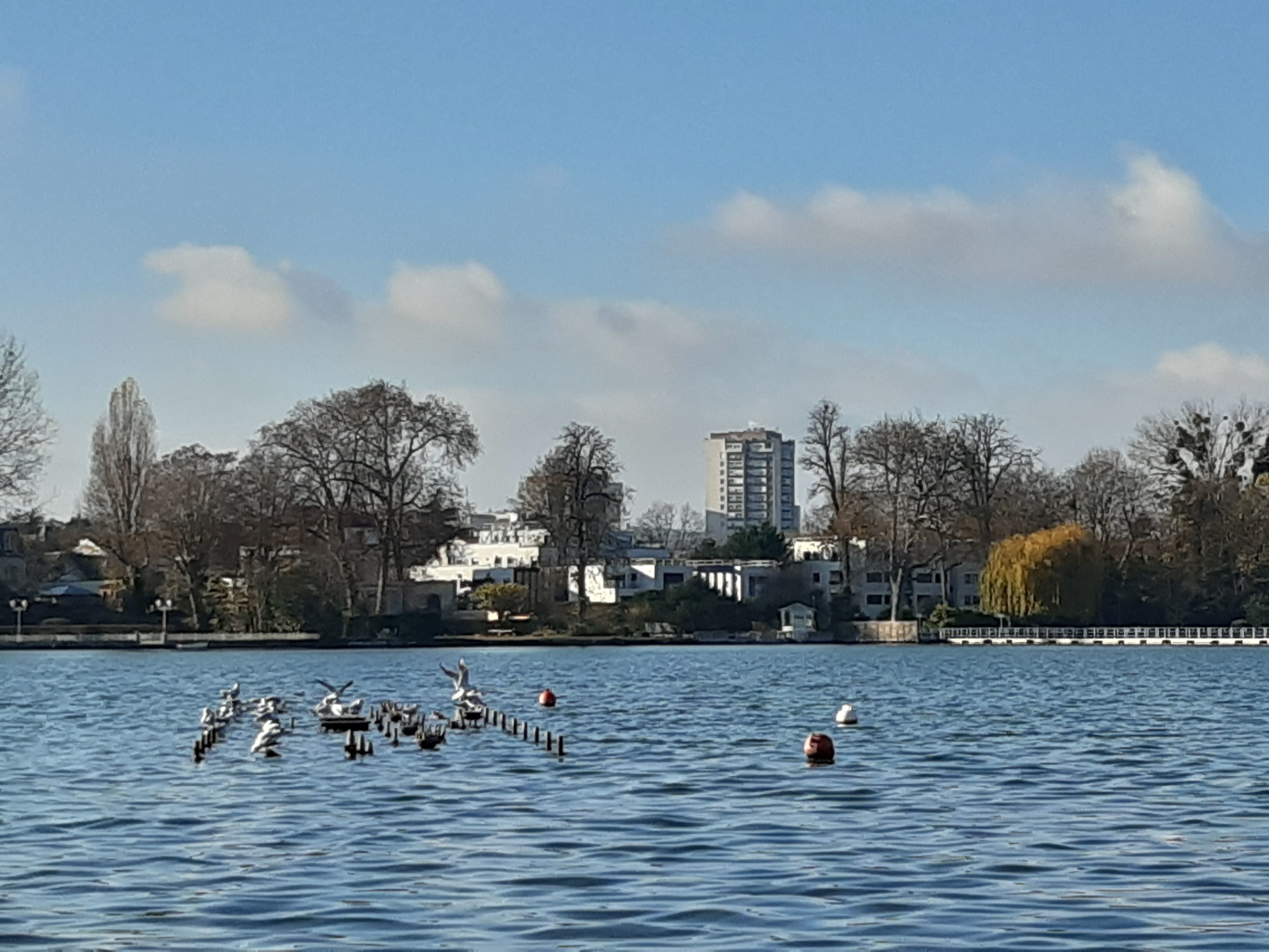 Enghien-les-Bains (Val-d'Oise). Des mouettes rieuses, visibles ici sur le lac, ont été contaminées par le virus de la grippe aviaire. Une zone de protection a été établie autour de la commune. LP/Véronique Beaugrand