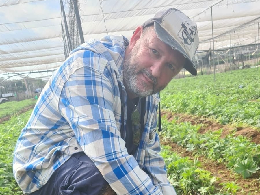 Depuis l'attaque du 7 octobre, David Djian a mis entre parenthèses son entreprise dans l'événementiel en Israël pour devenir ouvrier agricole dans le pays. DR