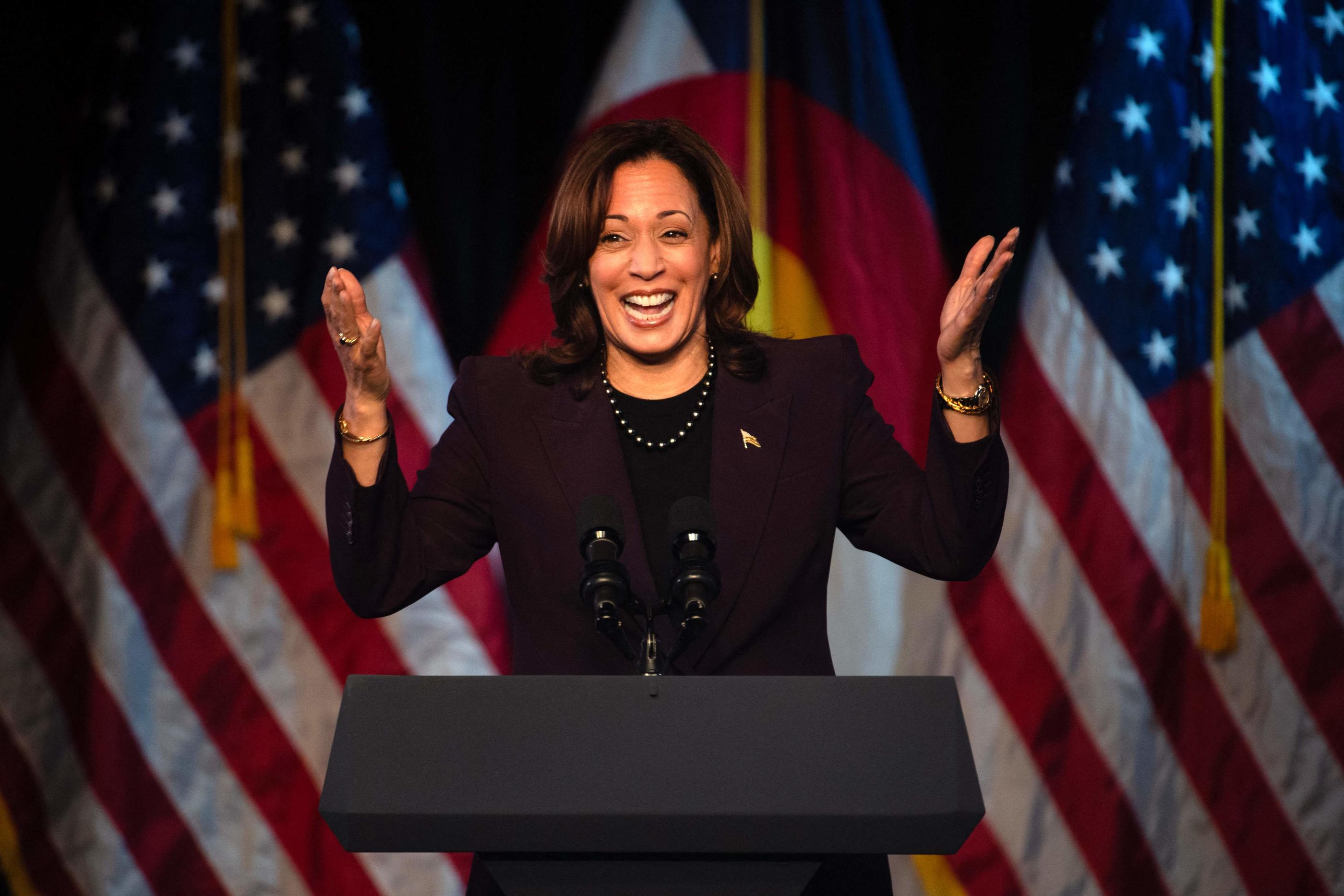 Kamala Harris pourrait remplacer Joe Biden dans le cadre de la course à la présidentielle. AFP/Jason Connolly