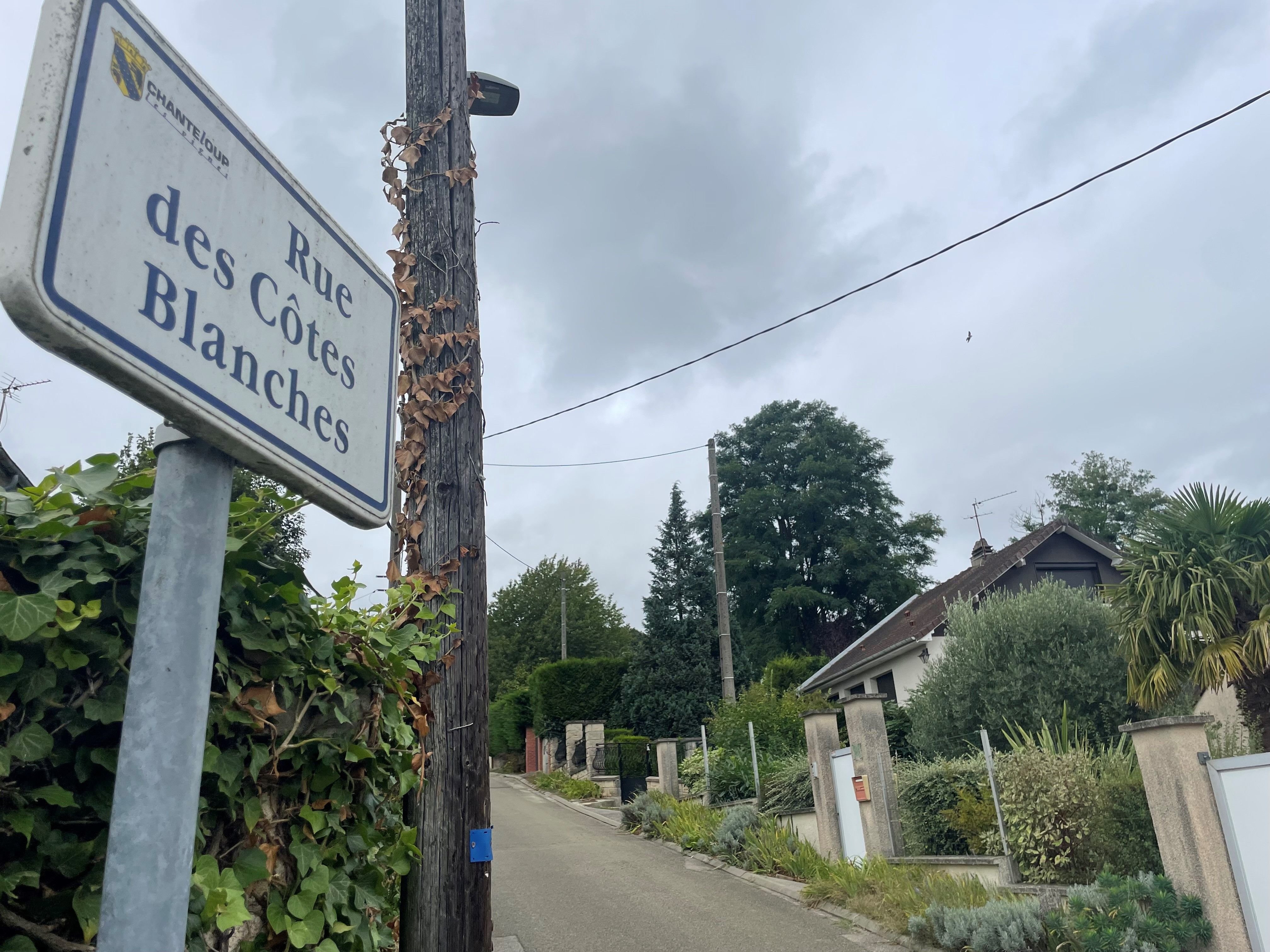 Chanteloup-les-Vignes (Yvelines), ce mardi. Le couple habitait depuis de nombreuses années dans ce quartier résidentiel situé sur les hauteurs de la ville. LP/S.B.