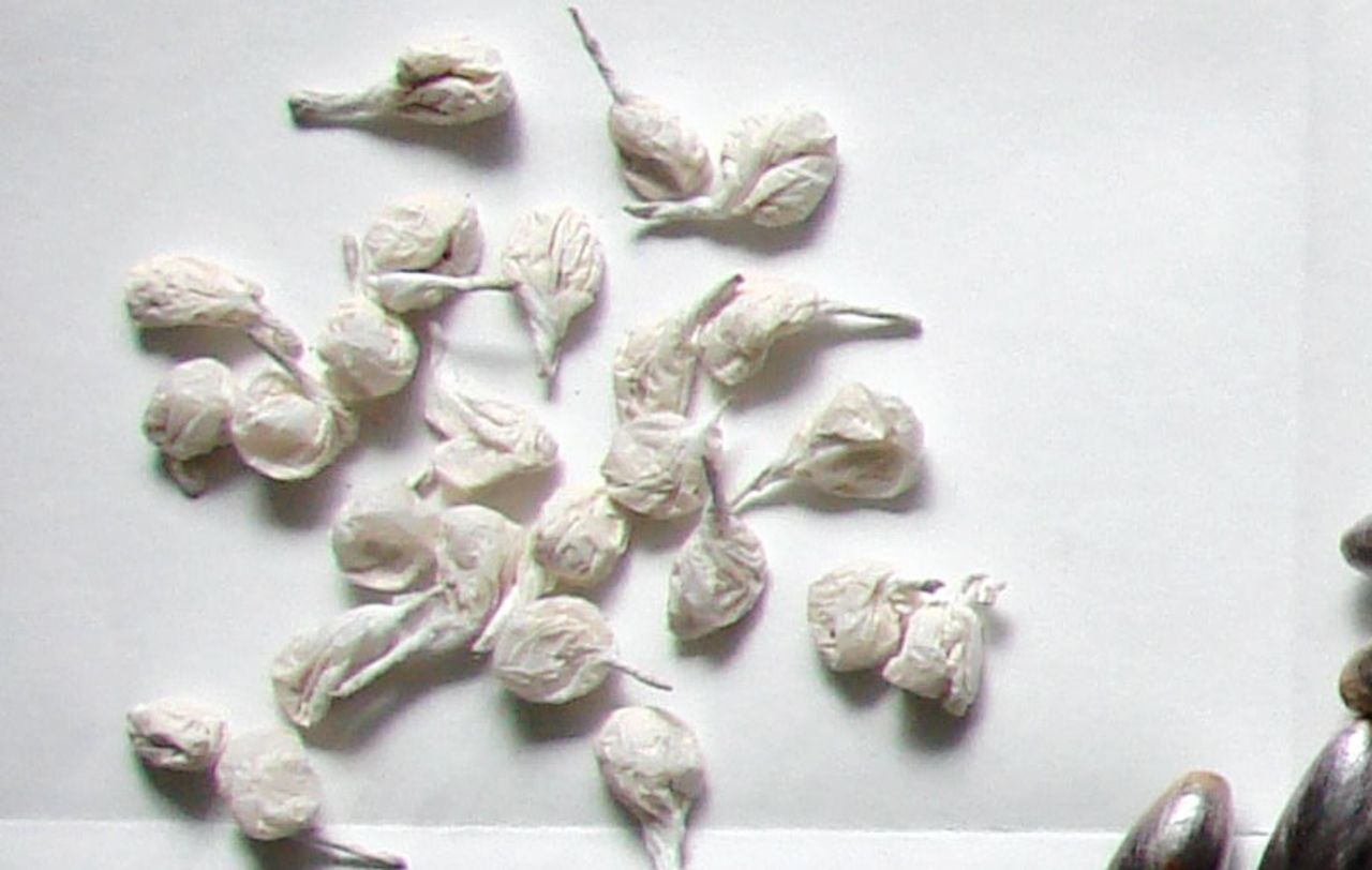 <b></b> ILLUSTRATION. Les policiers ont saisi 143 bonbonnes de cocaïne dans la voiture d’un automobiliste lors d’un contrôle routier. 