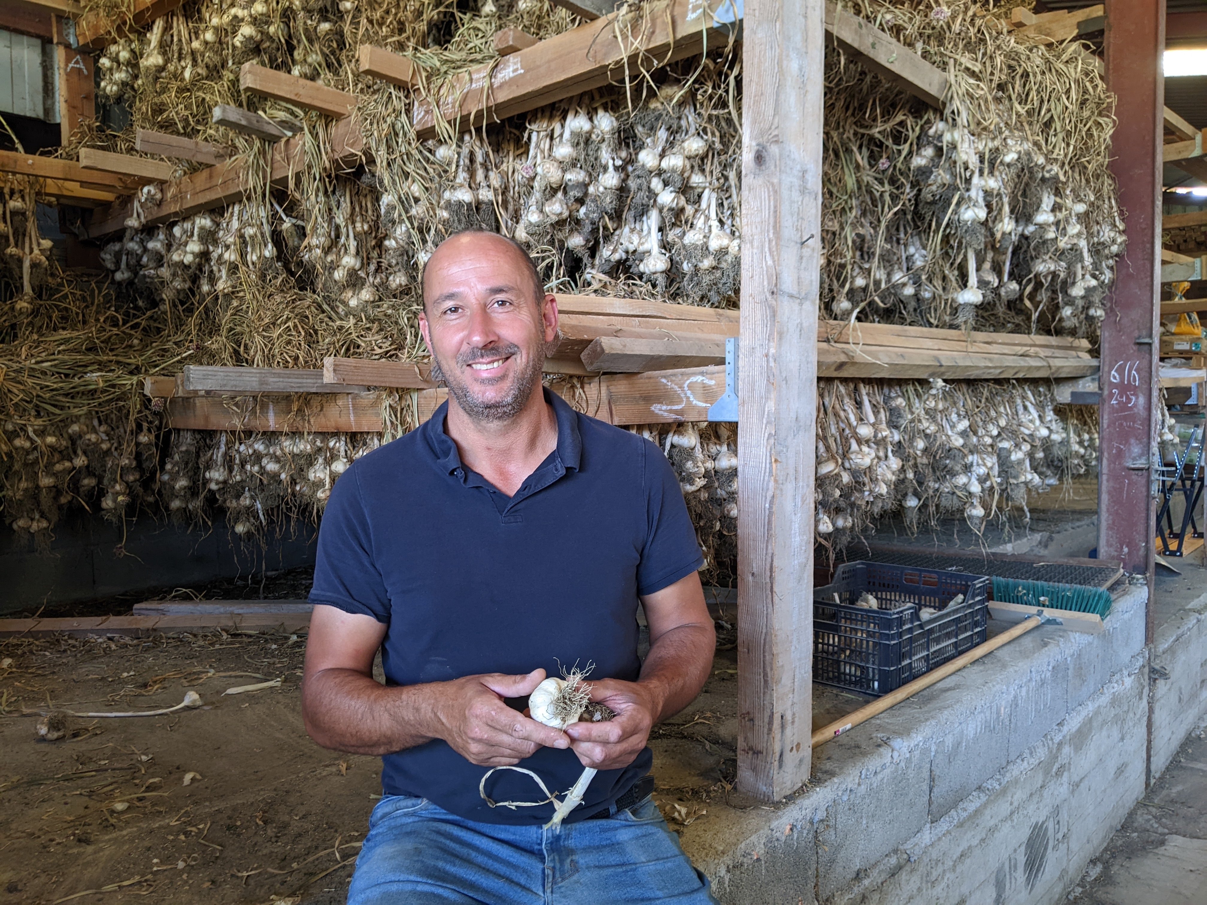 A Reignat (Puy-de-Dôme), Cédric Chalard cultive cinq hectares d'ail rose de Billom. Le classement en IGP lui apportera une reconnaissance. LP/Stéphane Frachet