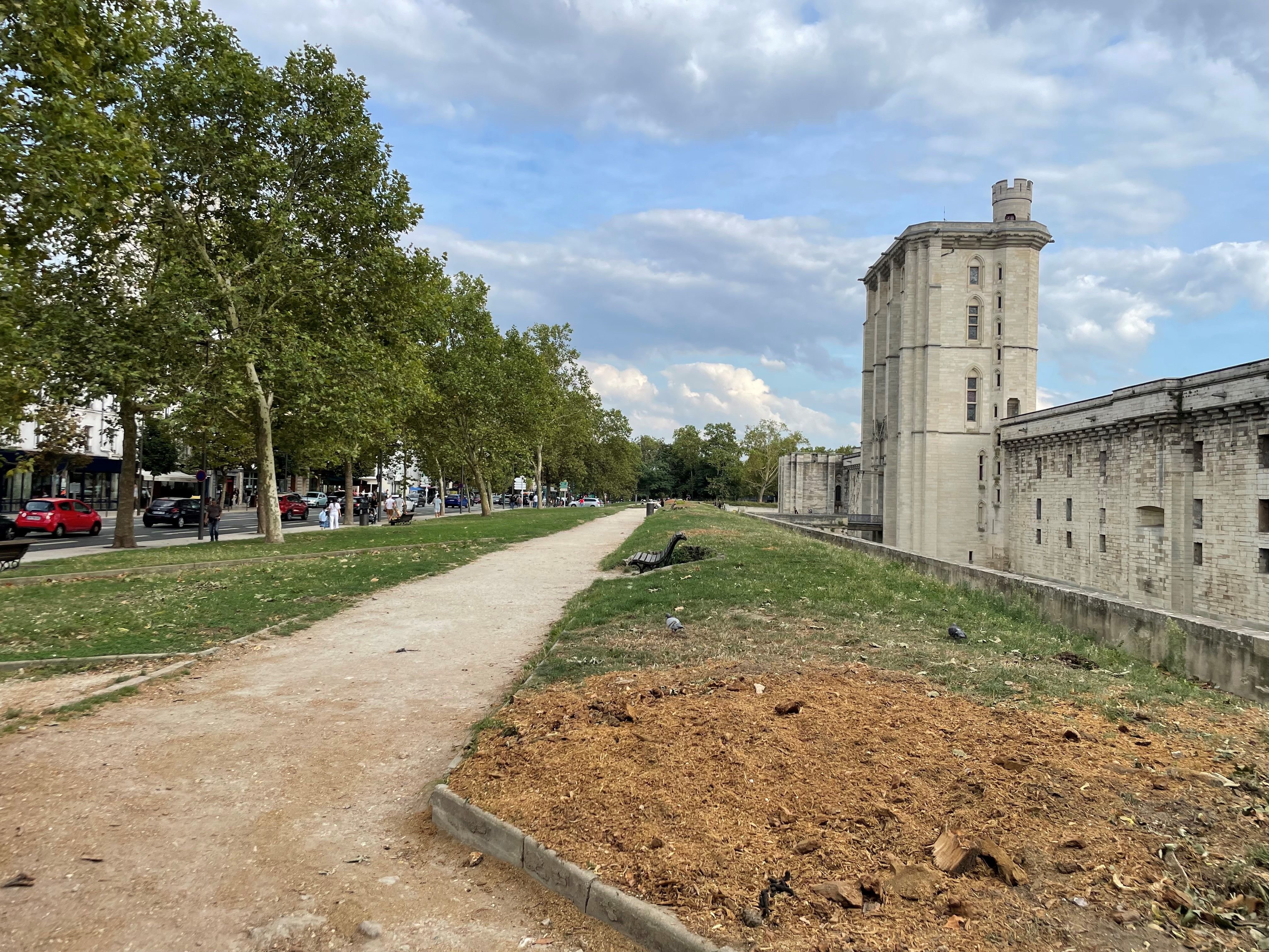 Vincennes, mercredi après-midi. Sur l'esplanade du château, côté ville, 18 arbres ont été abattus lundi en tout début de matinée. LP/Sylvain Deleuze