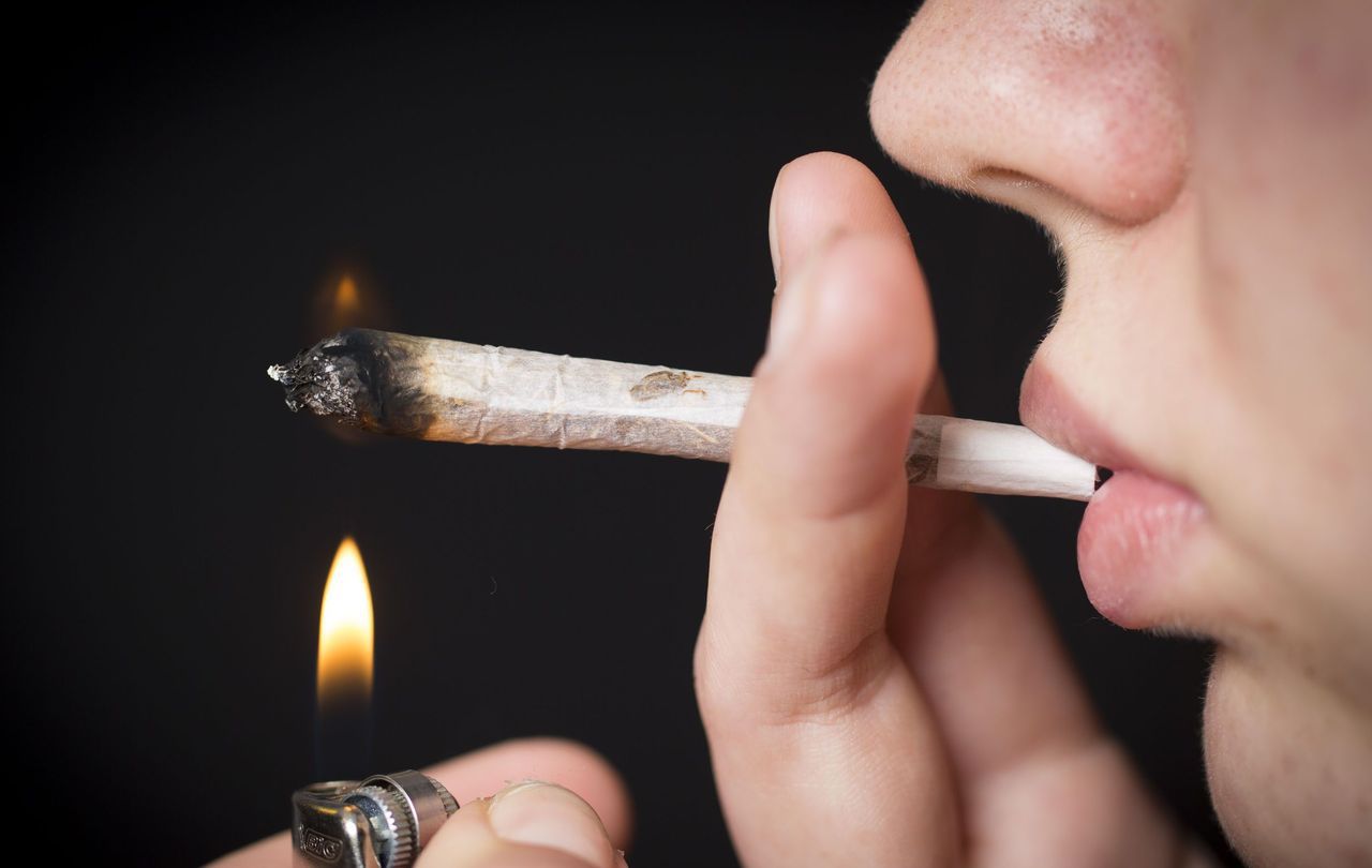 L'amende forfaitaire pour les fumeurs de cannabis s'étend à tout le  Val-de-Marne - Le Parisien