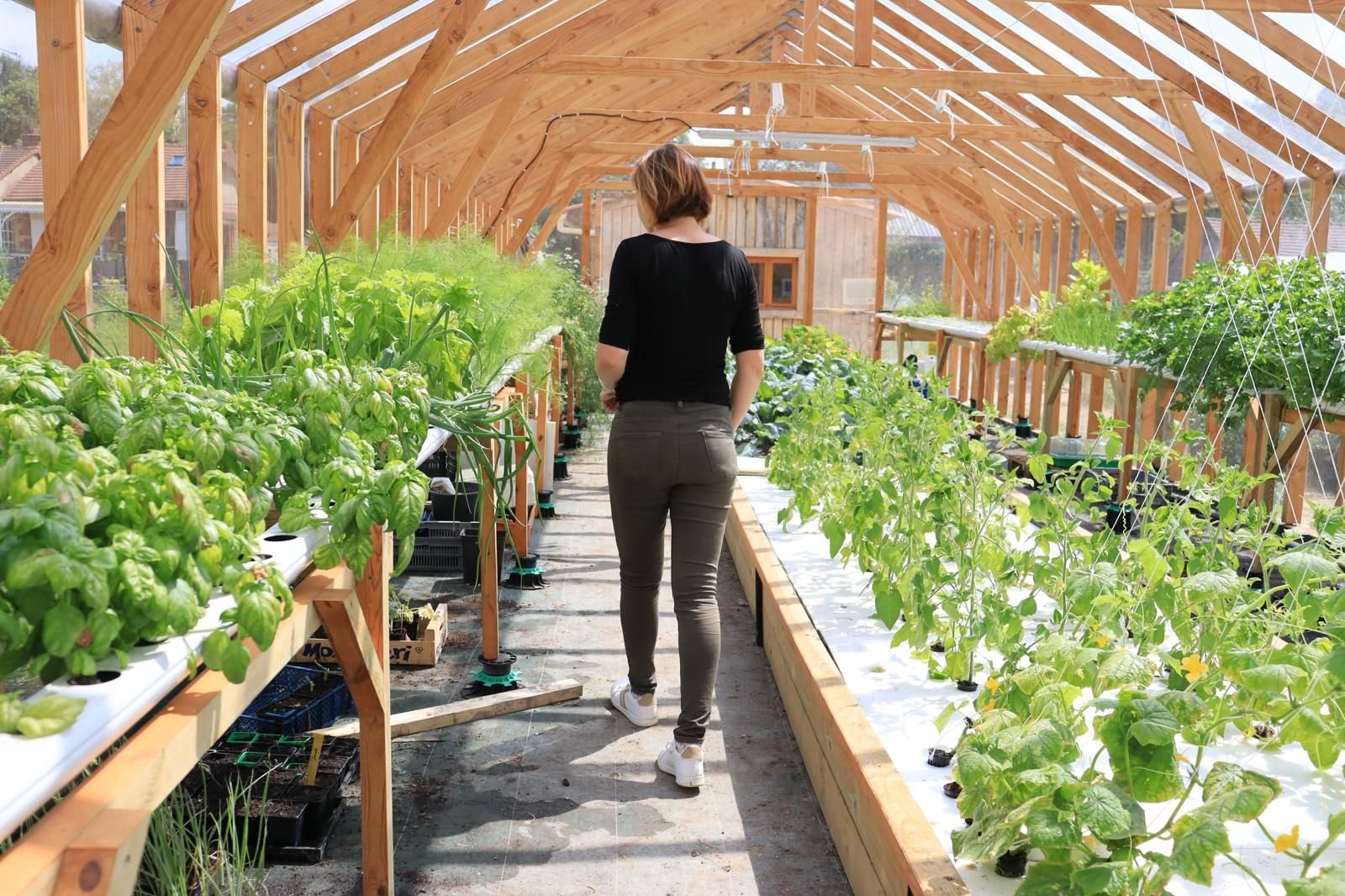 Chantilly (Oise), jeudi 6 juin. Clara Morvan, co-fondatrice du Jardin aquaponique durable et écocitoyen de la Nonette, s'assure de la bonne santé des plantes. LP/Juliette Vienot de Vaublanc