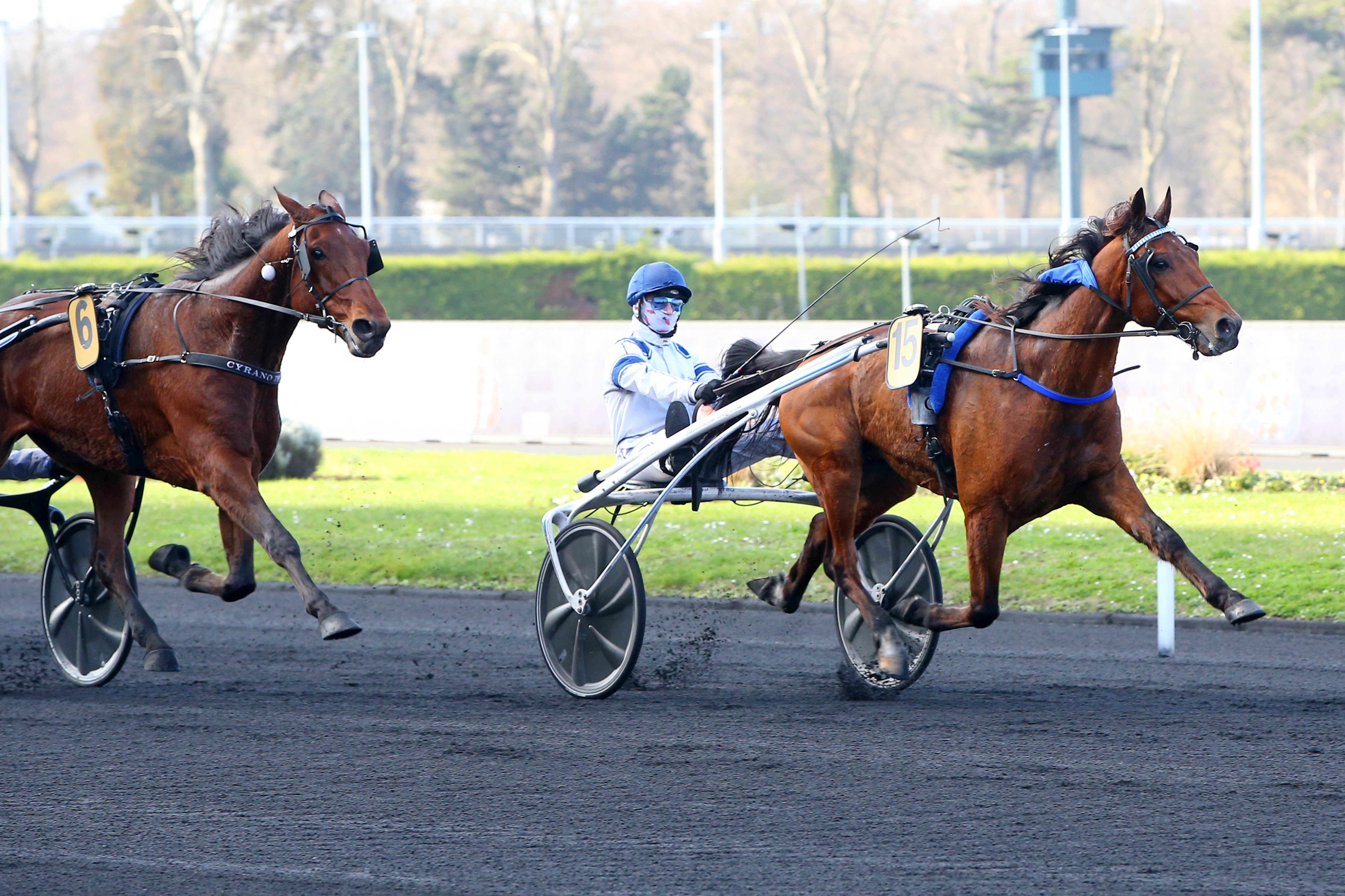 Calendrier Courses Hippiques Janvier 2023 Pmu - Arrivée Du Quinté Du Mardi 18 Janvier À Paris-Vincennes : Goéland  D'haufor S'envole - Le Parisien