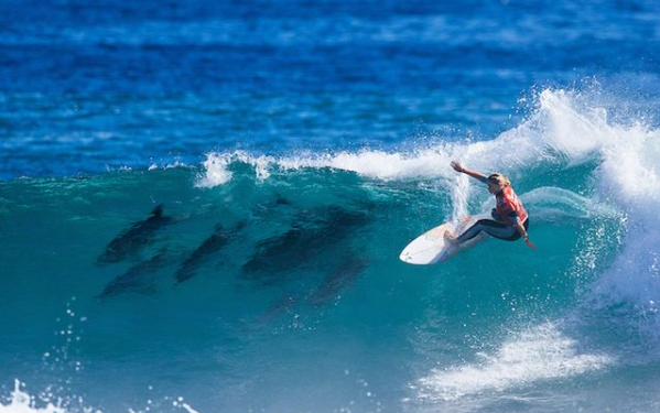 Gabriela Bryan accompagnée par des dauphins dimanche 21 avril 2024. Capture Instagram / World Surf League (WSL)