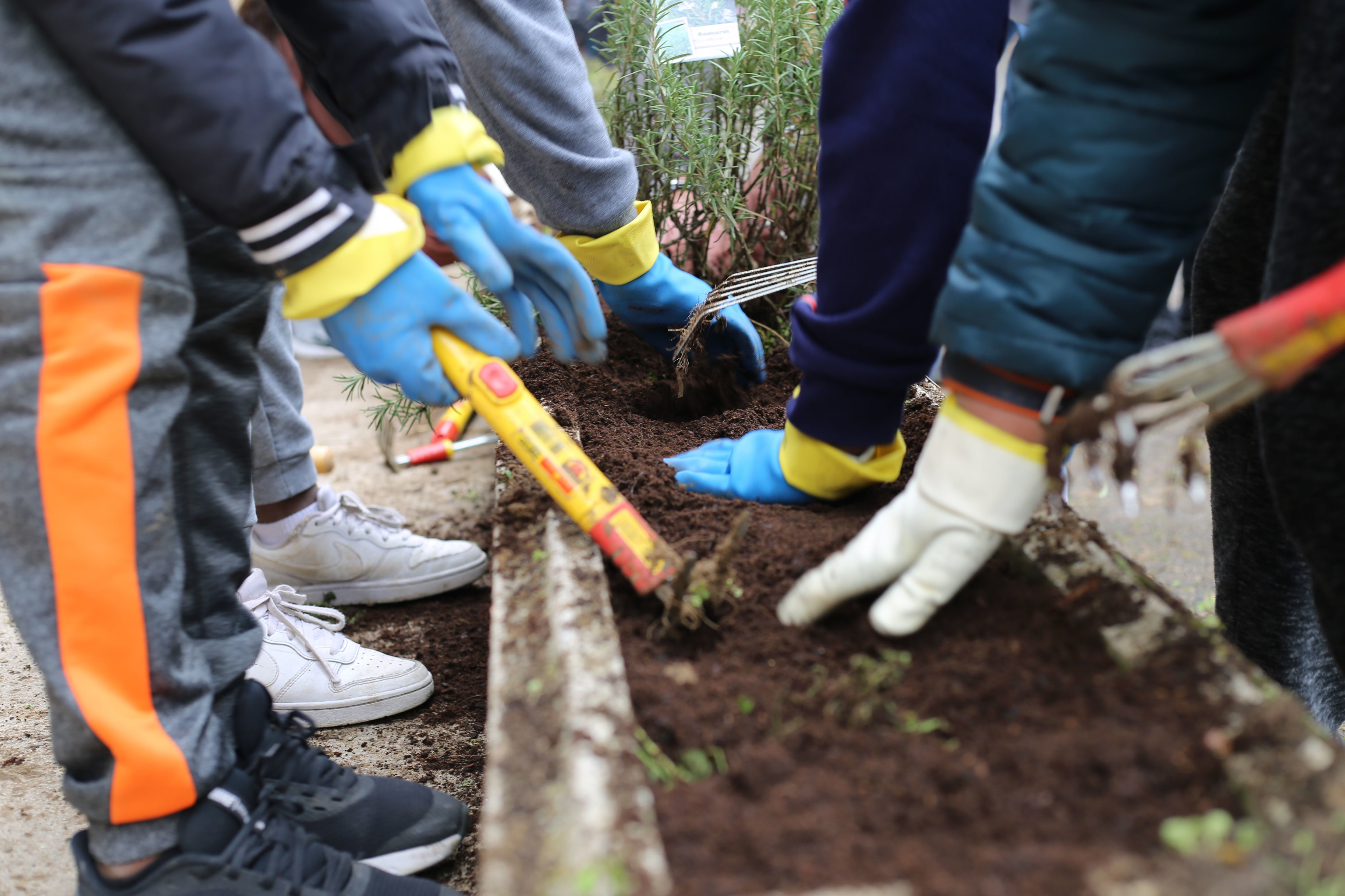 Au collège Karl-Marx de Villejuif, les élèves jardinent dans le cadre d'un projet organisé par les éco-délégués. DR.