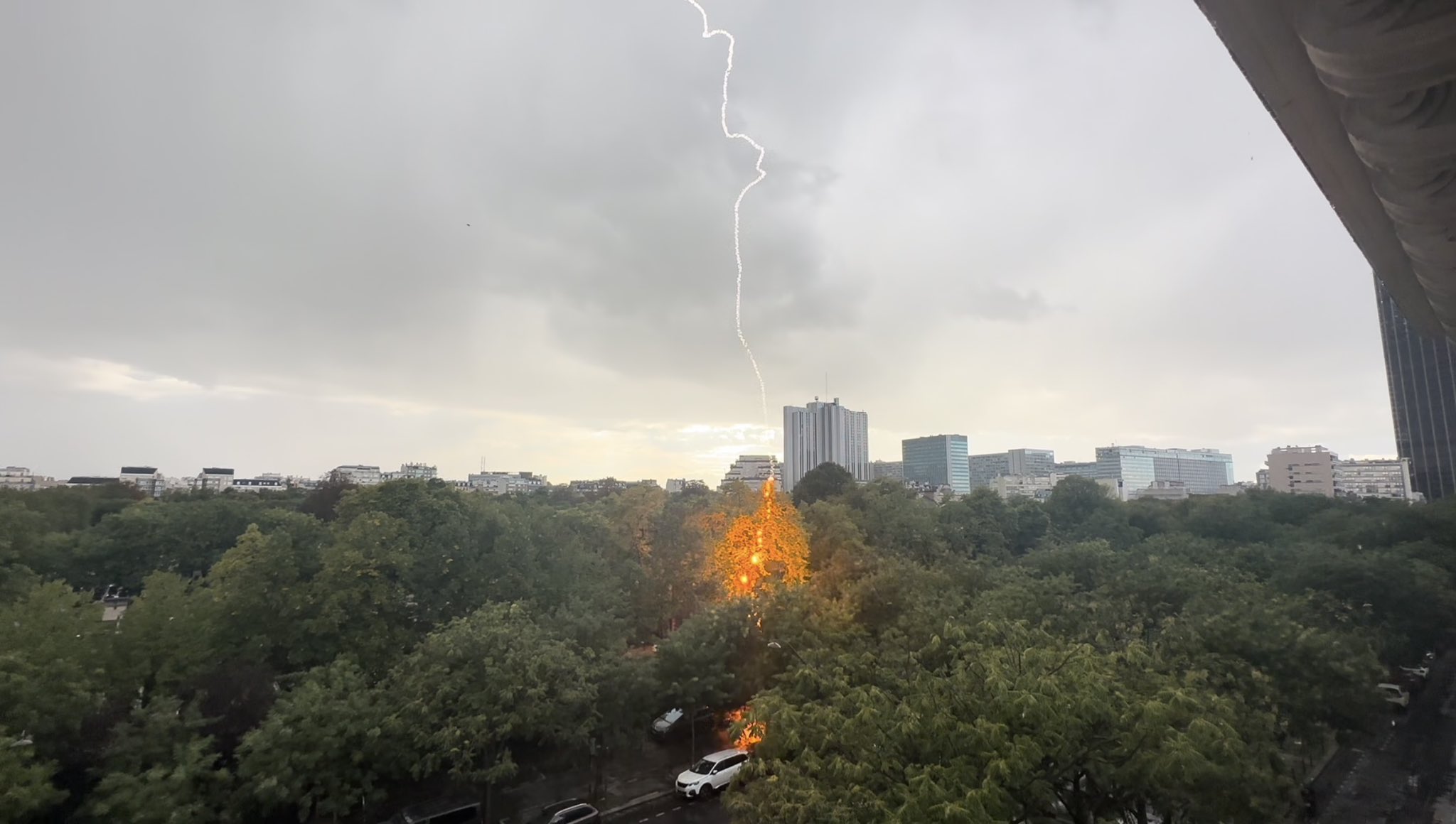 La foudre a frappé un arbre dans le sud de Paris. Capture d'écran X / Pascal Guénée