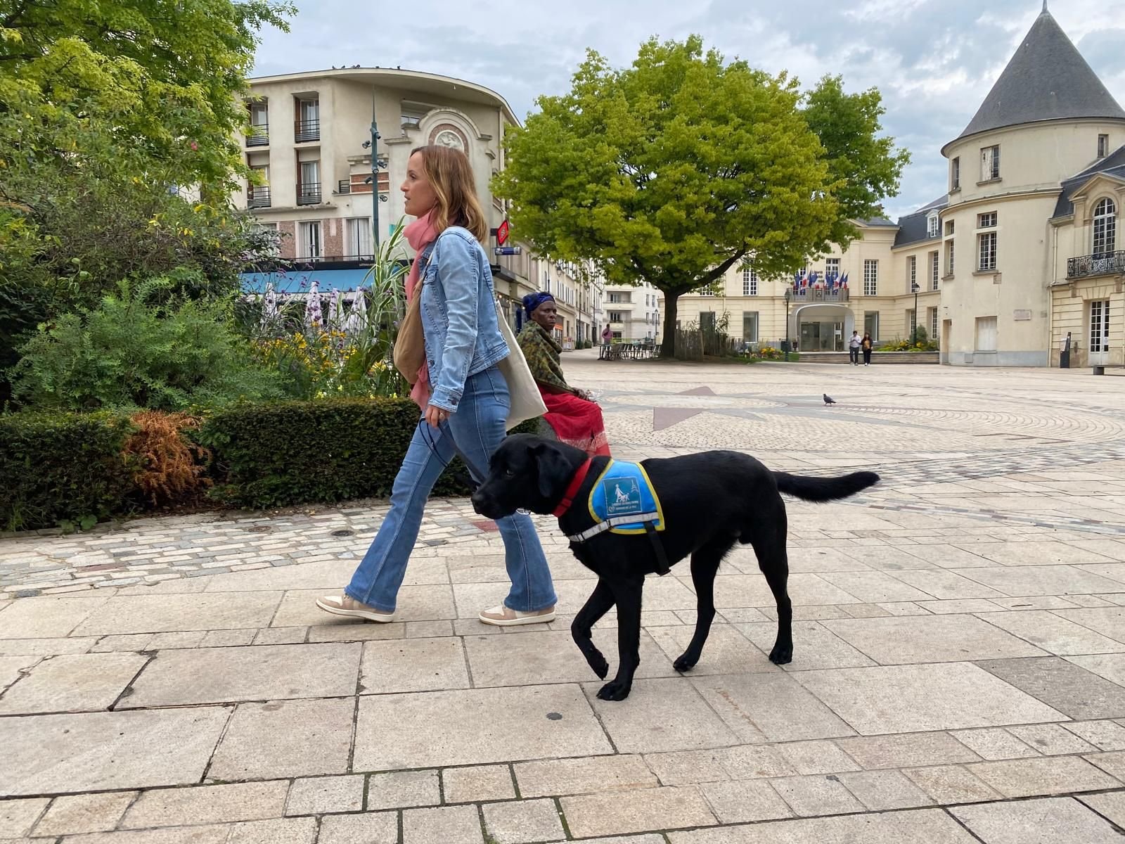 Clamart (Hauts-de-Seine), ce vendredi. Depuis sept ans, Dorothée Lulic est famille d'accueil pour former les chiens-guides d’aveugles comme Umbo, âgé de 13 mois. LP/Mathilde Debarre