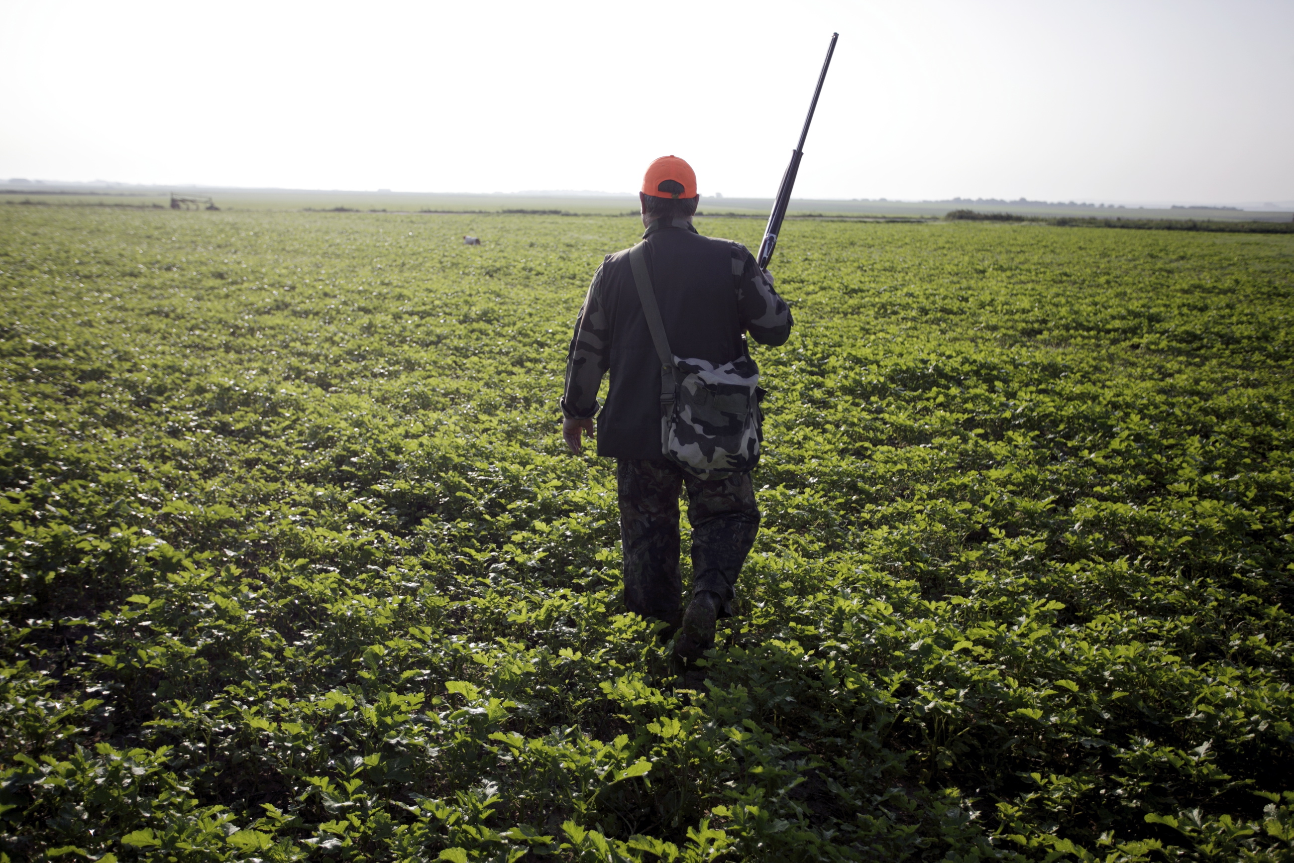 Cette année, la fédération des chasseurs de l'Oise a remis près de 13 000 permis à ses adhérents. LP/Arnaud Dumontier