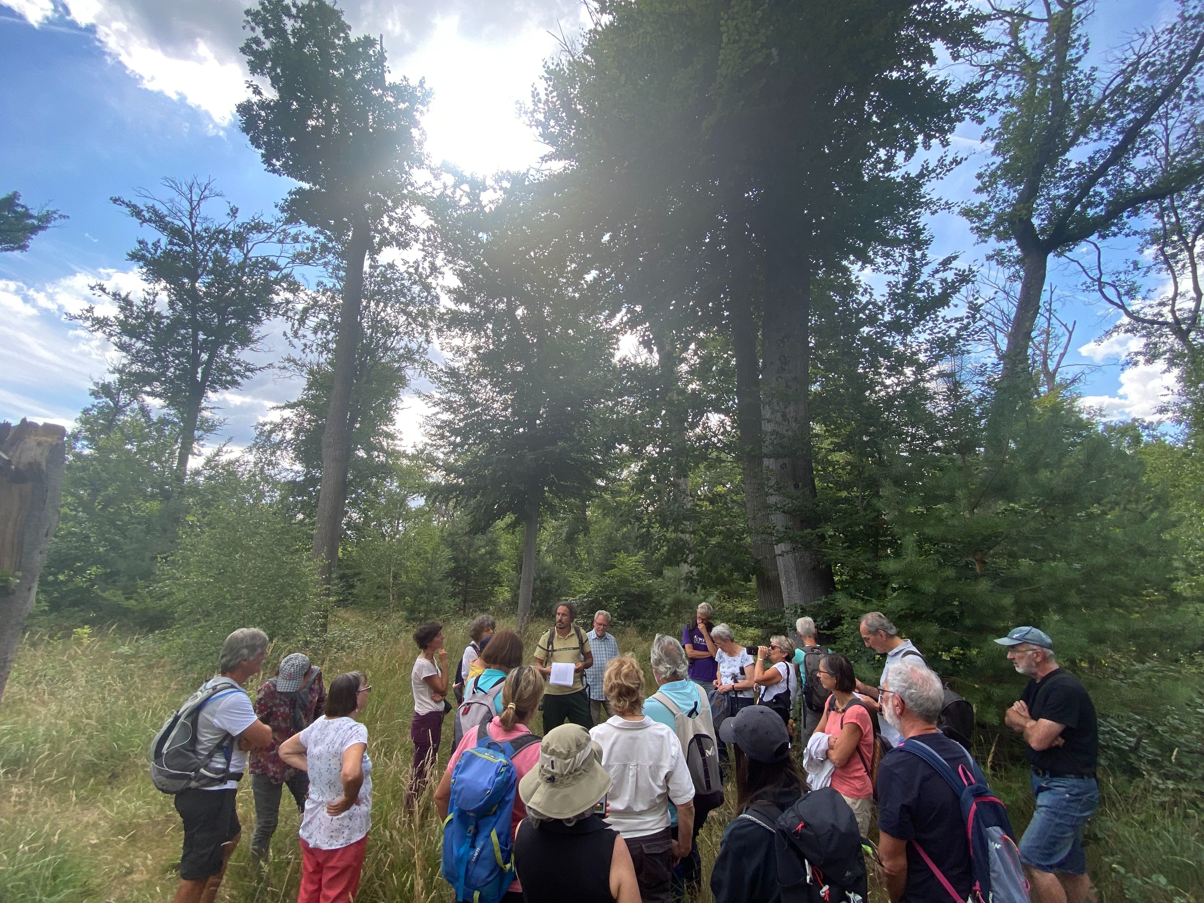 Forêt de Fontainebleau, le 27 juillet 2022. Une trentaine de personnes ont participé à la balade organisée par l'ONF pour évoquer le réchauffement de la planète et ses conséquences. LP/Jeanne Cassard