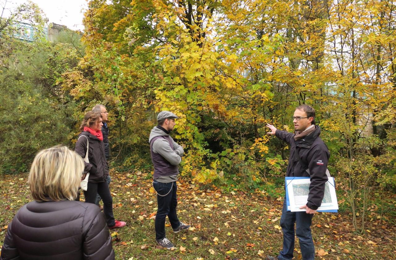 <b></b> Le département a organisé, samedi matin, une visite de l’île de l’Abreuvoir, entre Champigny et Saint-Maur, pour présenter les opérations d’élagage d’arbres qui vont avoir lieu. 
