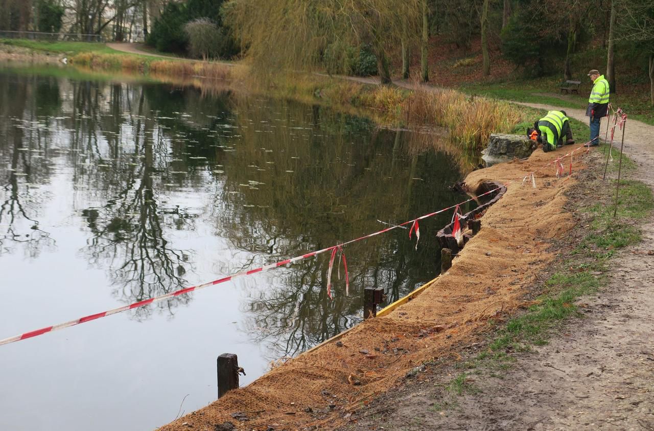 Ville-d’Avray, 2020. Les travaux de réalisation d’un déversoir en aval des étangs de Corot, au niveau de l’étang neuf, sont suspendus. LP/E.D.