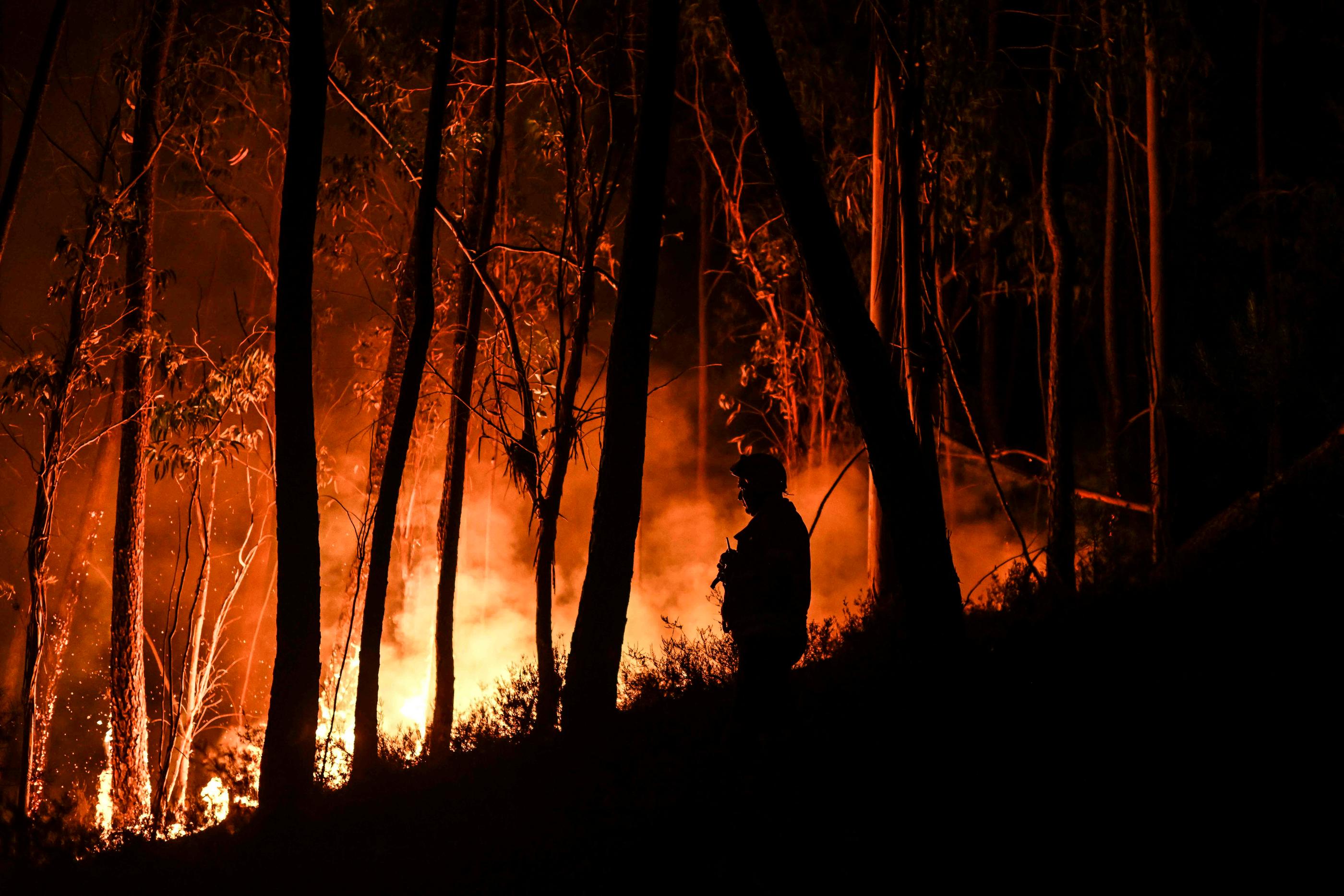 Portugal: face à un mur de feu ils ne se sont jamais réveillés – L'Express