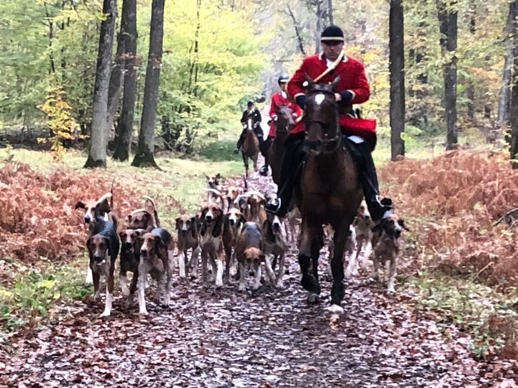 Chasses à courre au cerf et au sanglier. - Sud