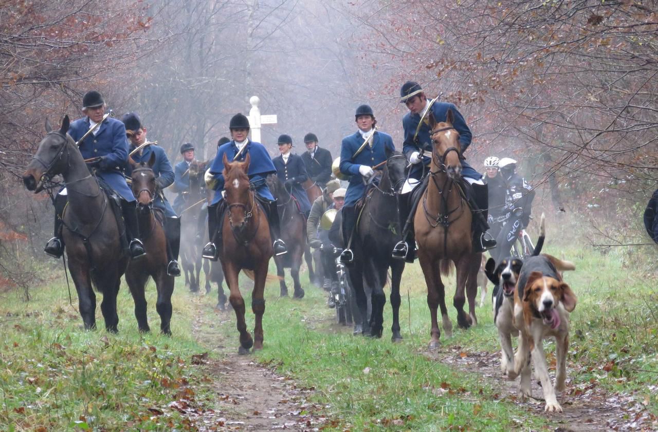 <b></b> Compiègne, 29 novembre. Depuis le regain de tension autour de la chasse à courre, « une bonne douzaine de plaintes » auraient déjà été déposées du côté des veneurs. 