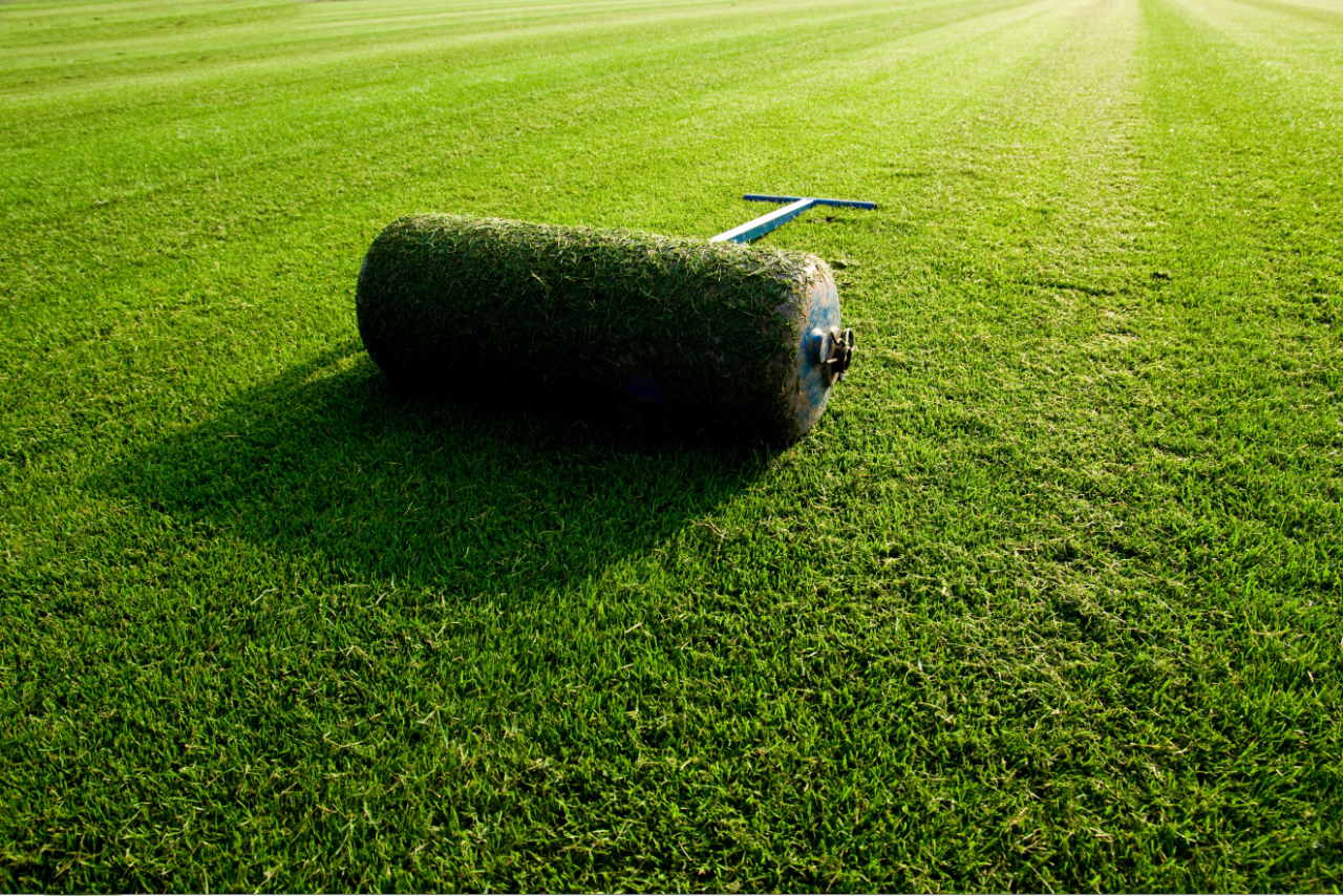 Rouleau à gazon pourquoi s'équiper ? Le Parisien