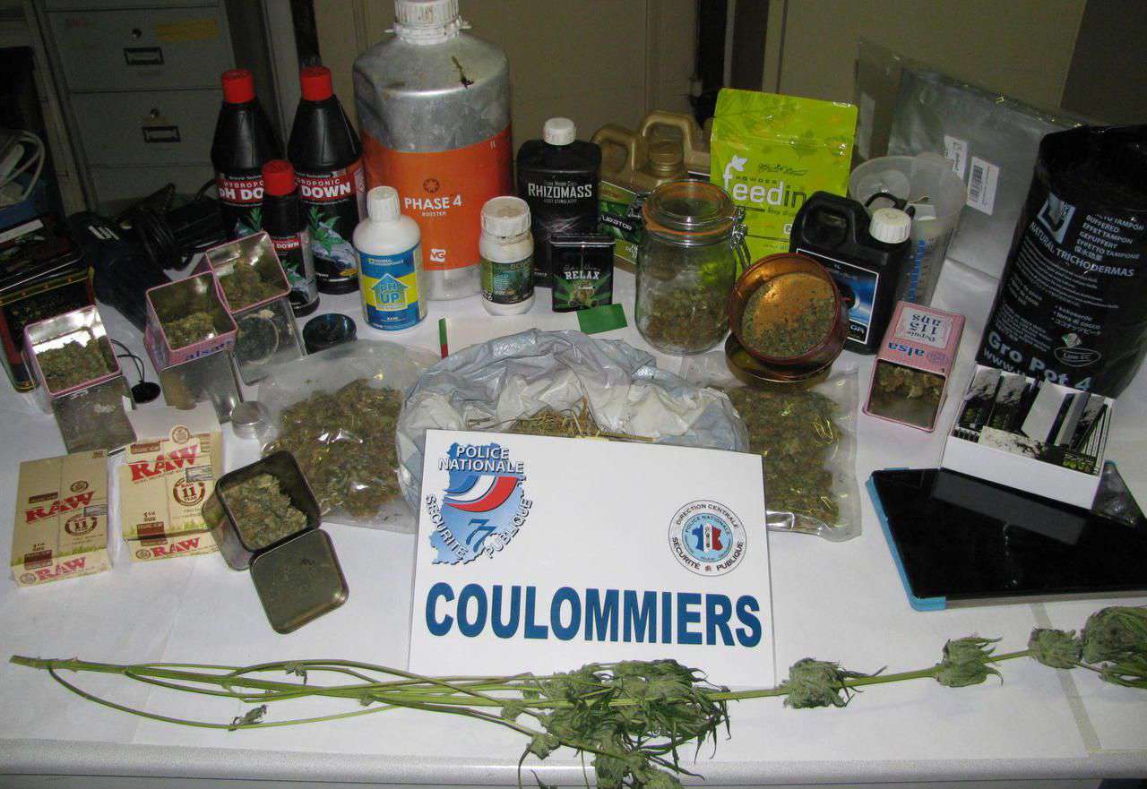 <b></b> Coulommiers. Les policiers ont saisi de l’herbe et de la résine de cannabis, ainsi que du matériel pour monter un laboratoire de fabrication. 