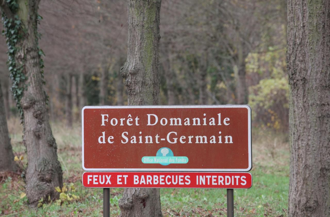 <b></b> Saint-Germain-en-Laye. Avec plus de 3 500 ha de superficie, la forêt domaniale représente à Saint-Germain plus de 70 % du territoire.