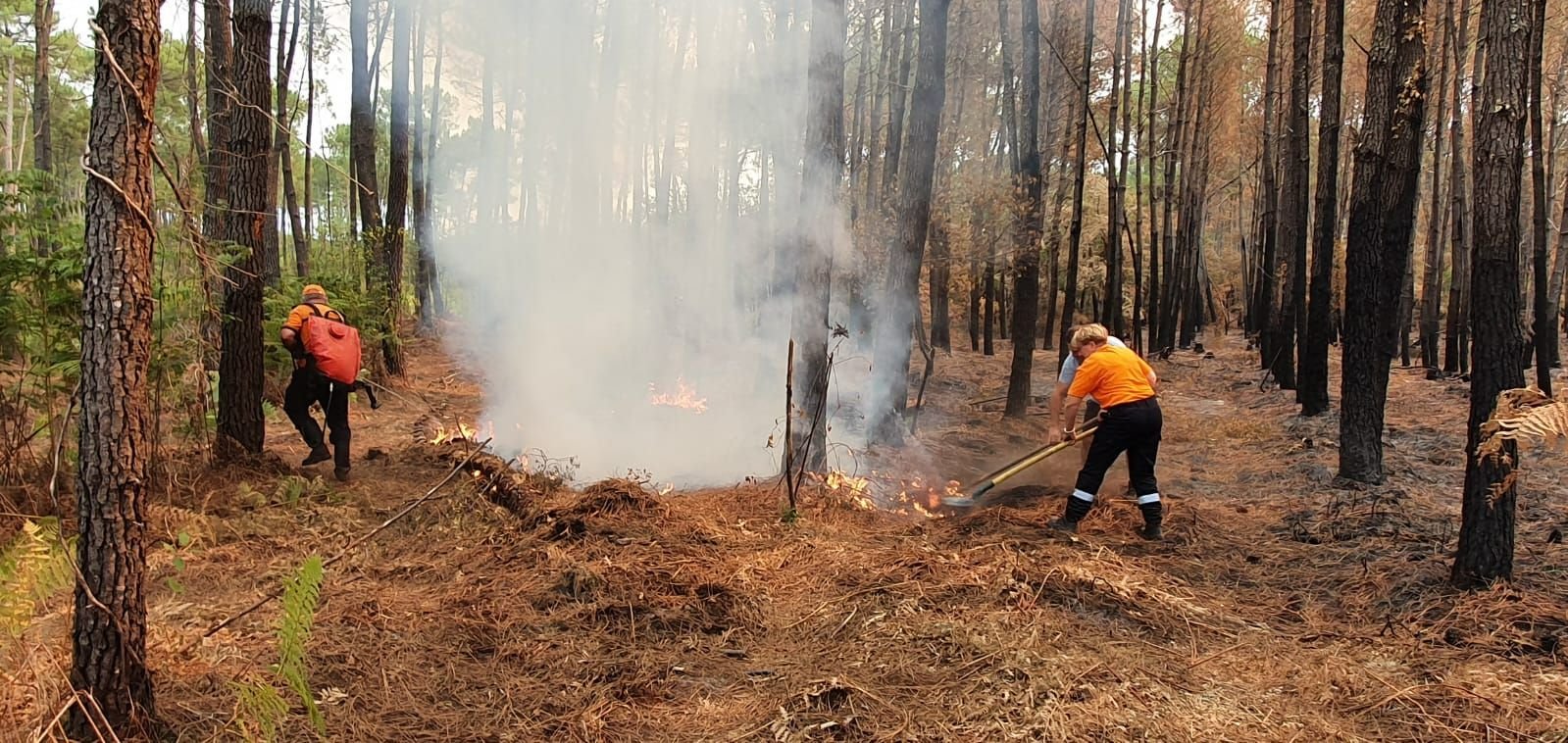 Francine, Béatrice et Denis, bénévoles de la réserve communale de Yerres (Essonne), ont pour mission d'éviter les reprises de feu. Sur cette photo, ils matent les flammes avec des pelles. DR