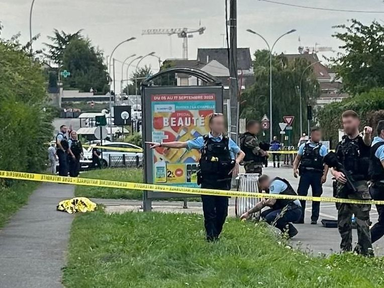 Le molosse qui a été abattu par les gendarmes ce 11 septembre en pleine rue de Puiseux-en-France s'était déjà attaqué à un autre chien il y a un an. DR