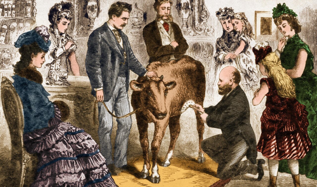 La vache et le vacciné : l'étonnante histoire du médecin qui a vaincu la variole - Le Parisien