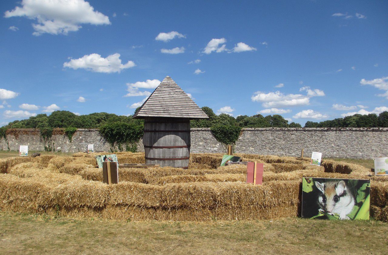 <b></b> Saint-Cyr-l’Ecole. Plus de 4 000 m2 de labyrinthes ont été créés à la Ferme de Gally.