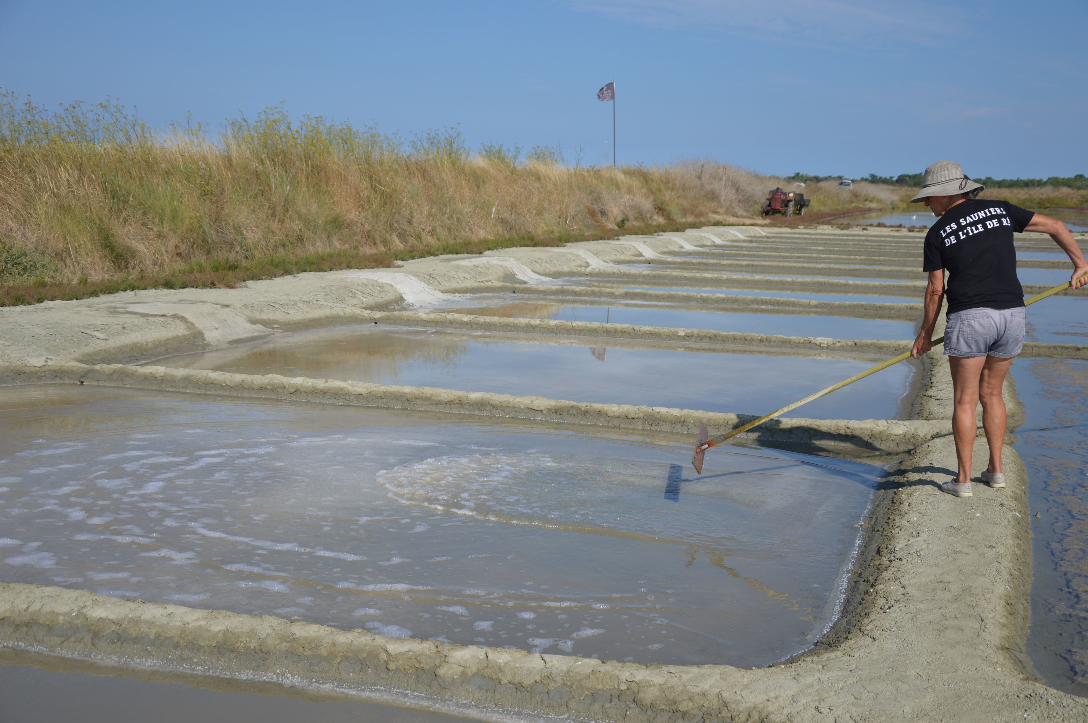 L’île de Ré compte une centaine de sauniers sur son territoire. LP/Amélia Blanchot