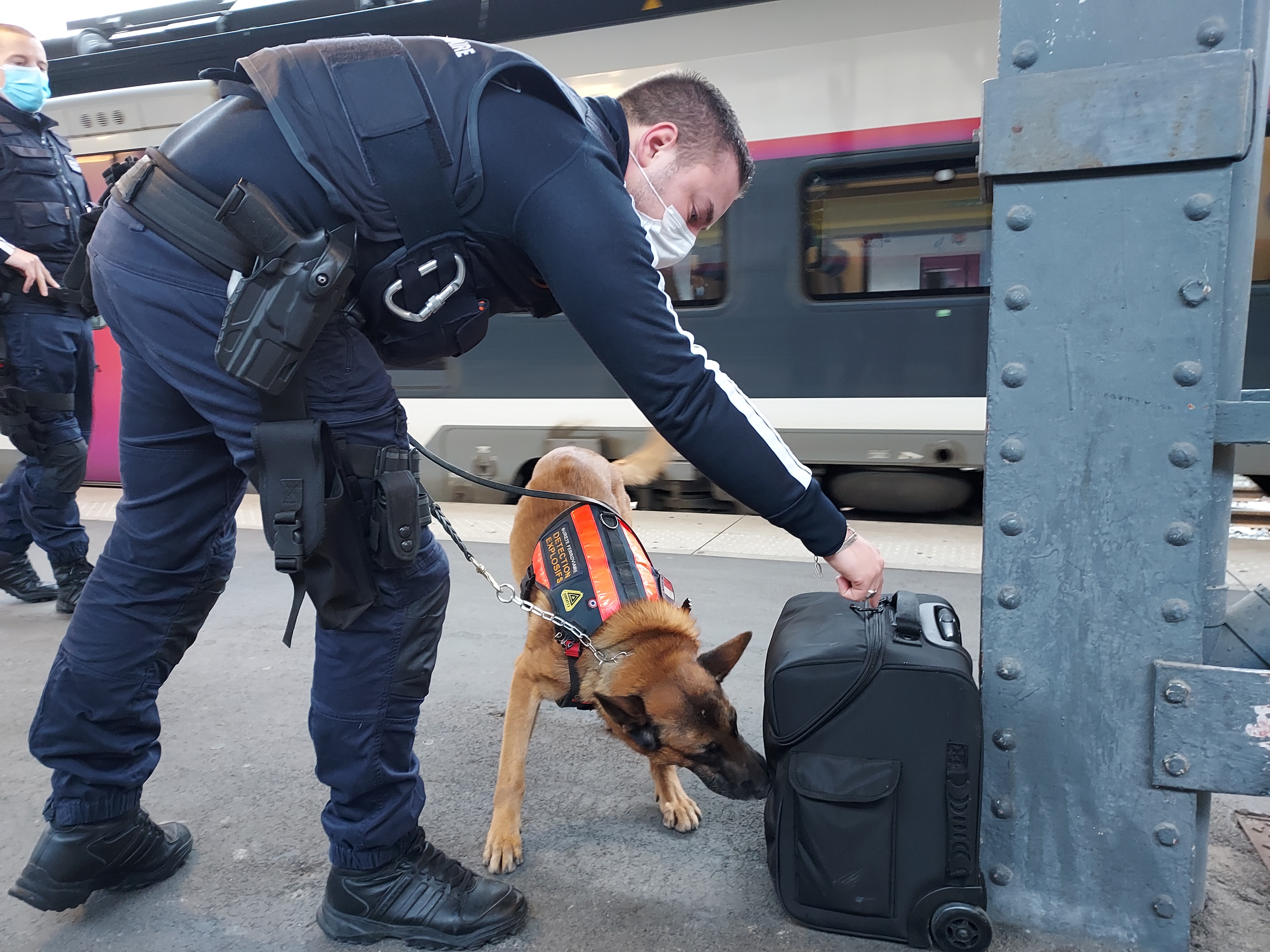 Gare de l'Est à Paris, le 15 février. Florian, 27 ans, patrouille entre les quais et les trains avec son berger belge, Jeko. LP/Céline Carez