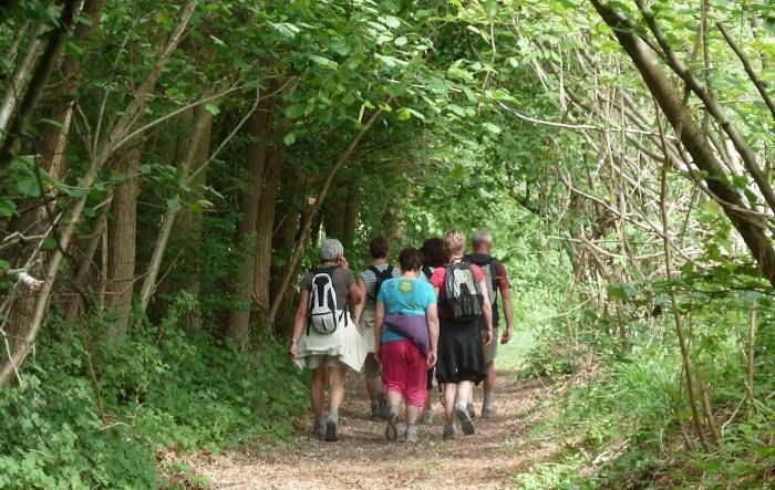 <b>Forêt d’Halatte.</b>  Une randonnée autour du Mont Pagnotte, point culminant de l’Oise, est programmée ce dimanche par le parc naturel régional. 