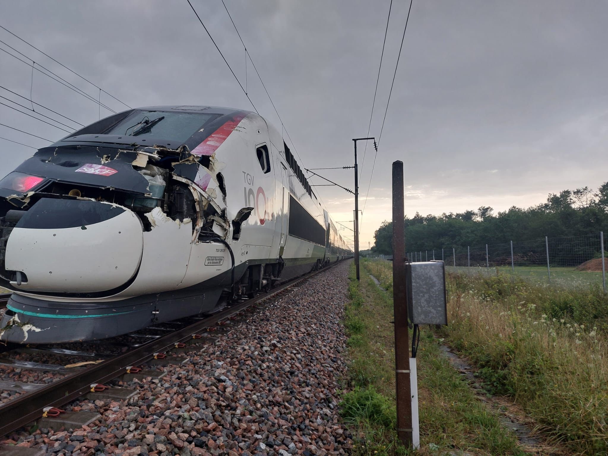 Un TGV a percuté un arbre tombé sur les voies ce mardi matin. Twitter SNCF Réseau